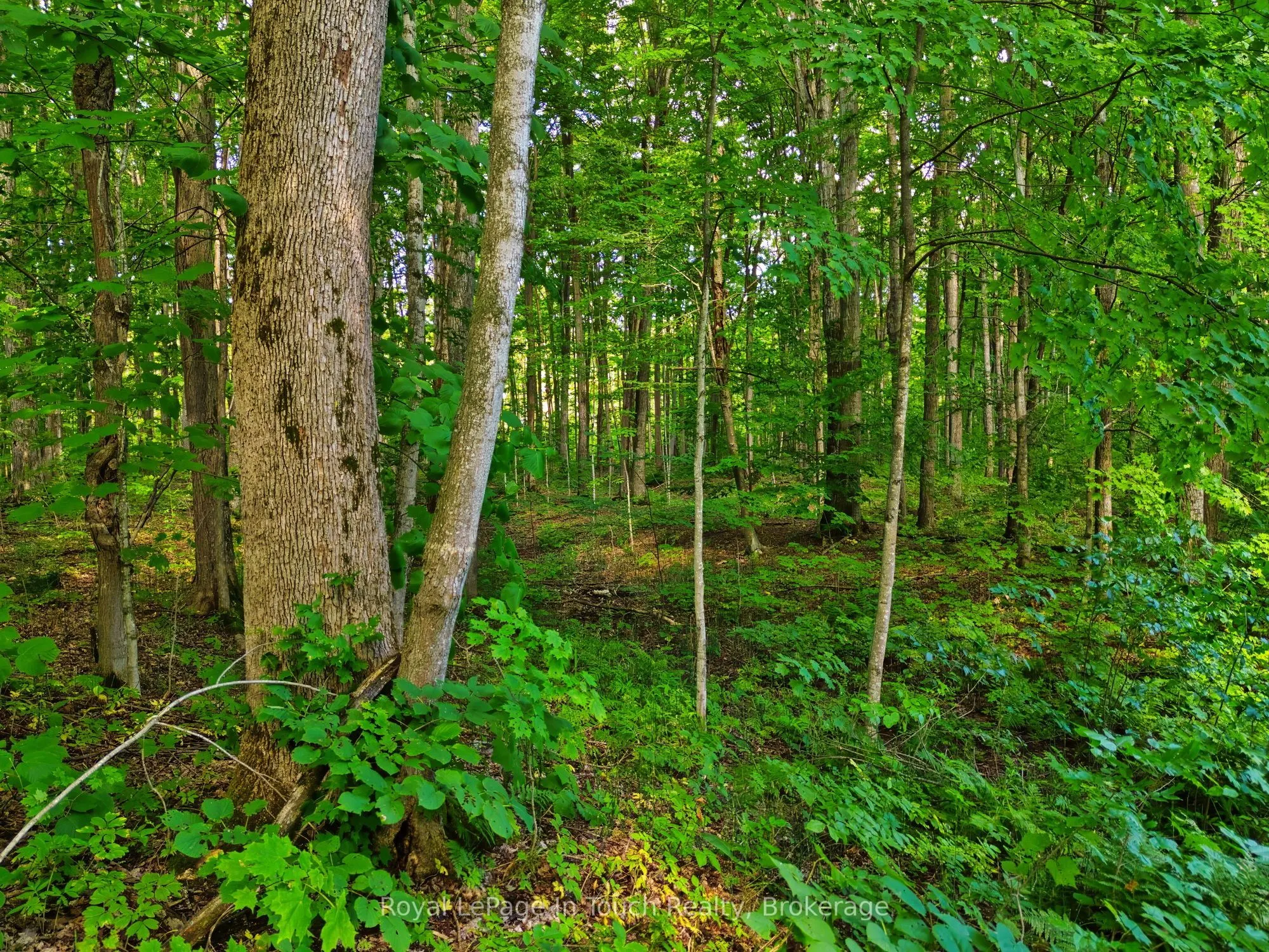 Lot 52 Copeland Creek Drive