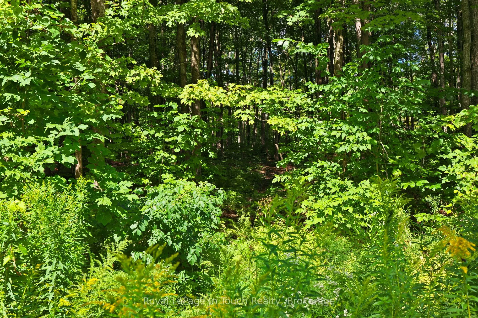 Lot 52 Copeland Creek Drive