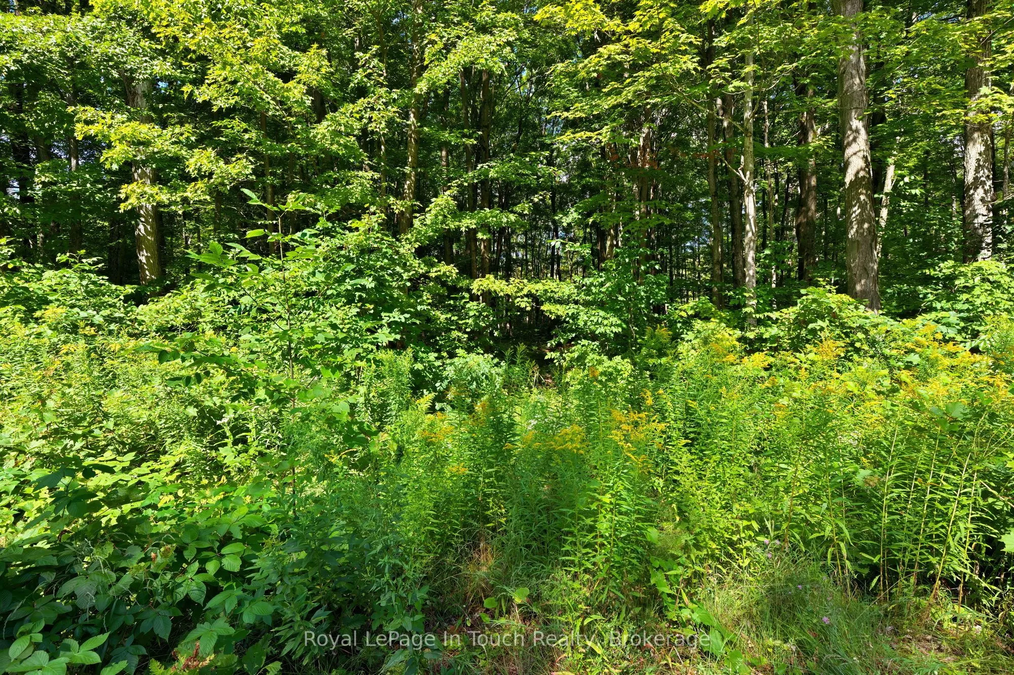 Lot 52 Copeland Creek Drive