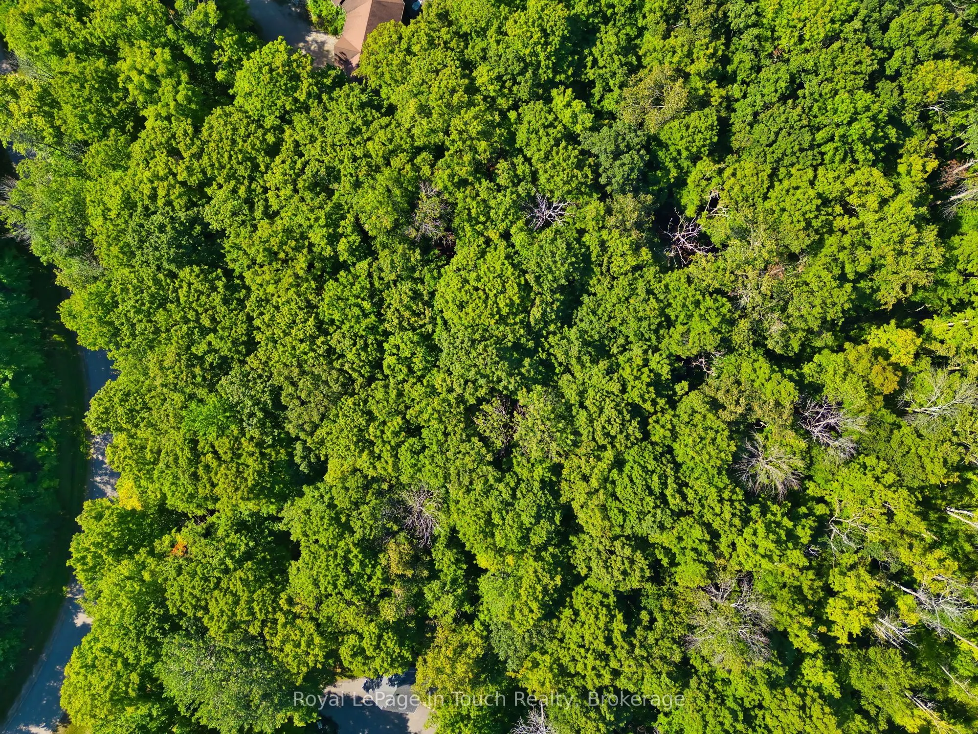 Lot 52 Copeland Creek Drive