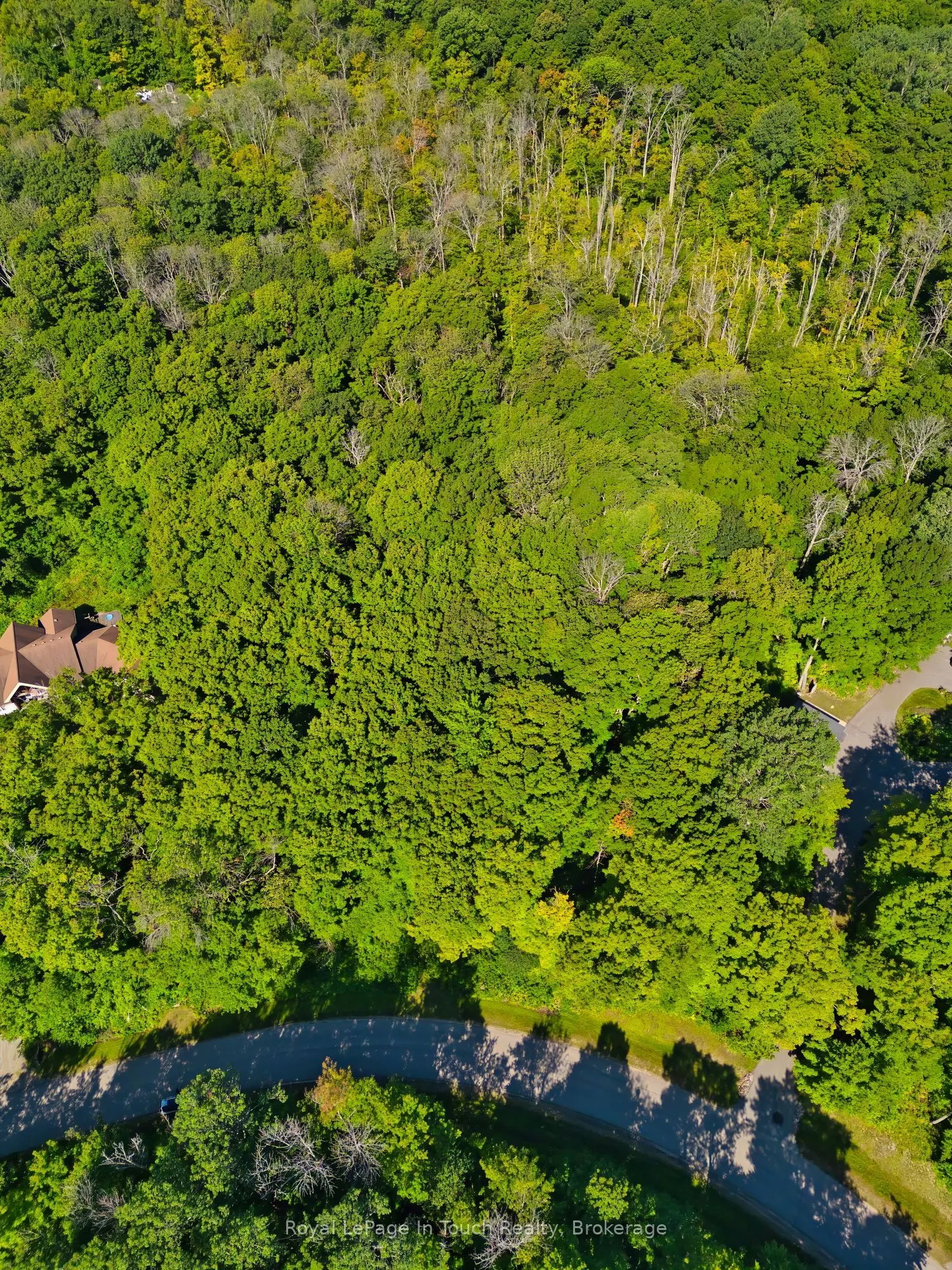 Lot 52 Copeland Creek Drive