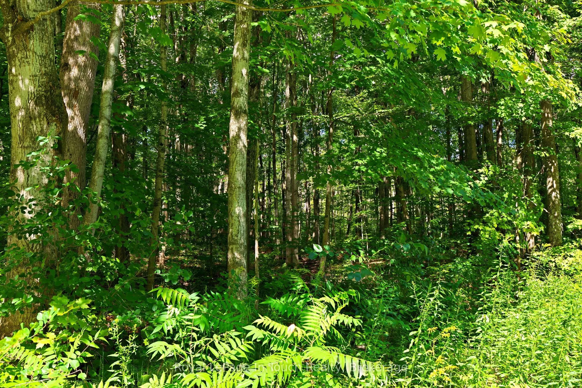 Lot 52 Copeland Creek Drive