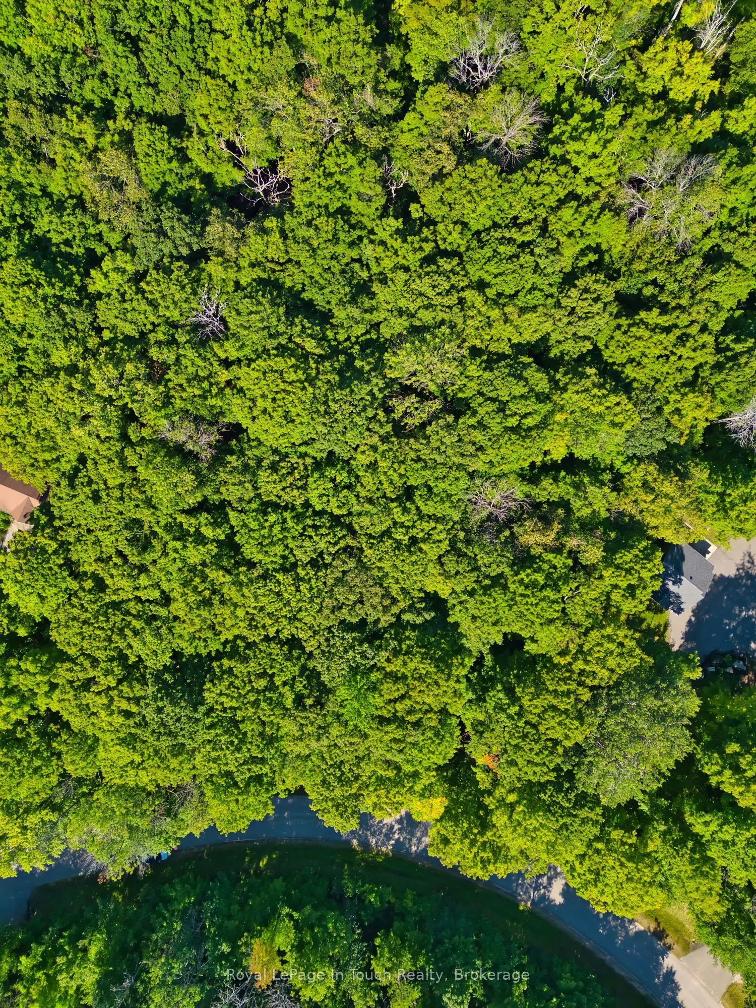 Lot 52 Copeland Creek Drive