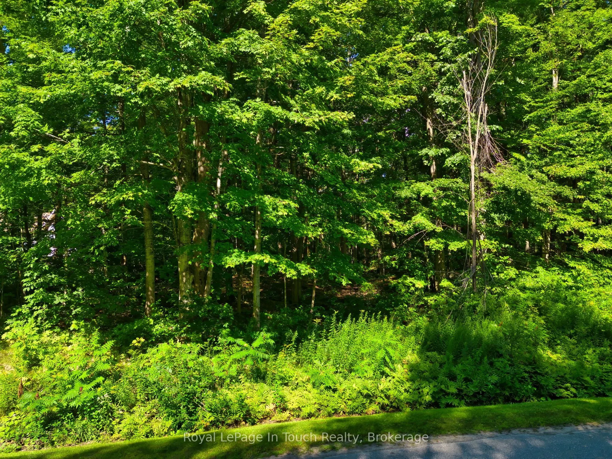 Lot 52 Copeland Creek Drive