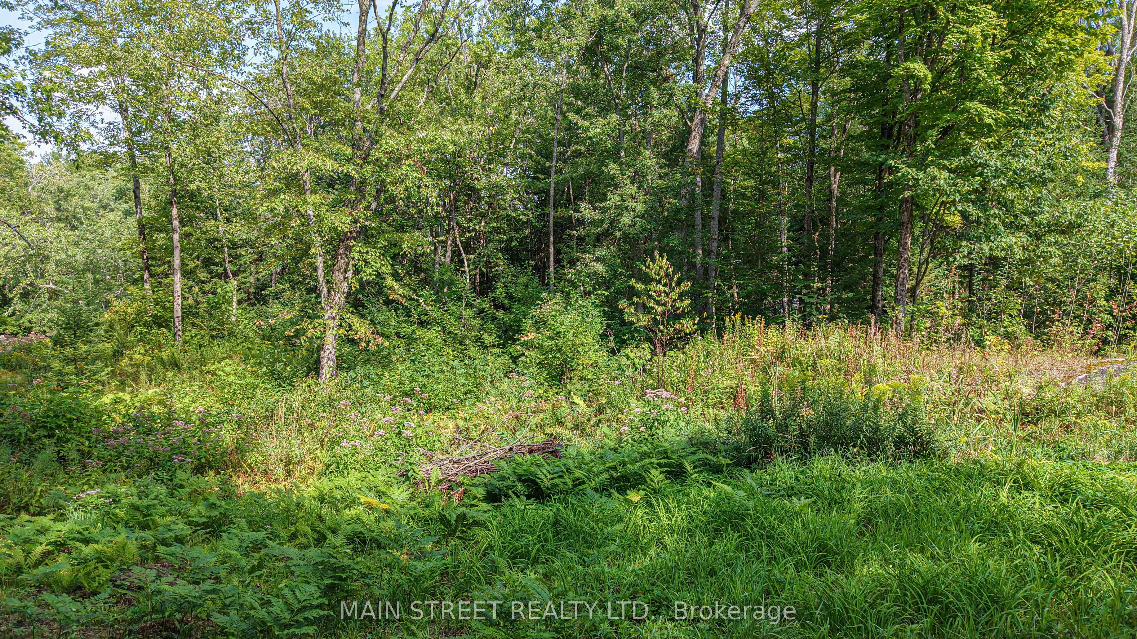 6583 Pioneer Village Lane