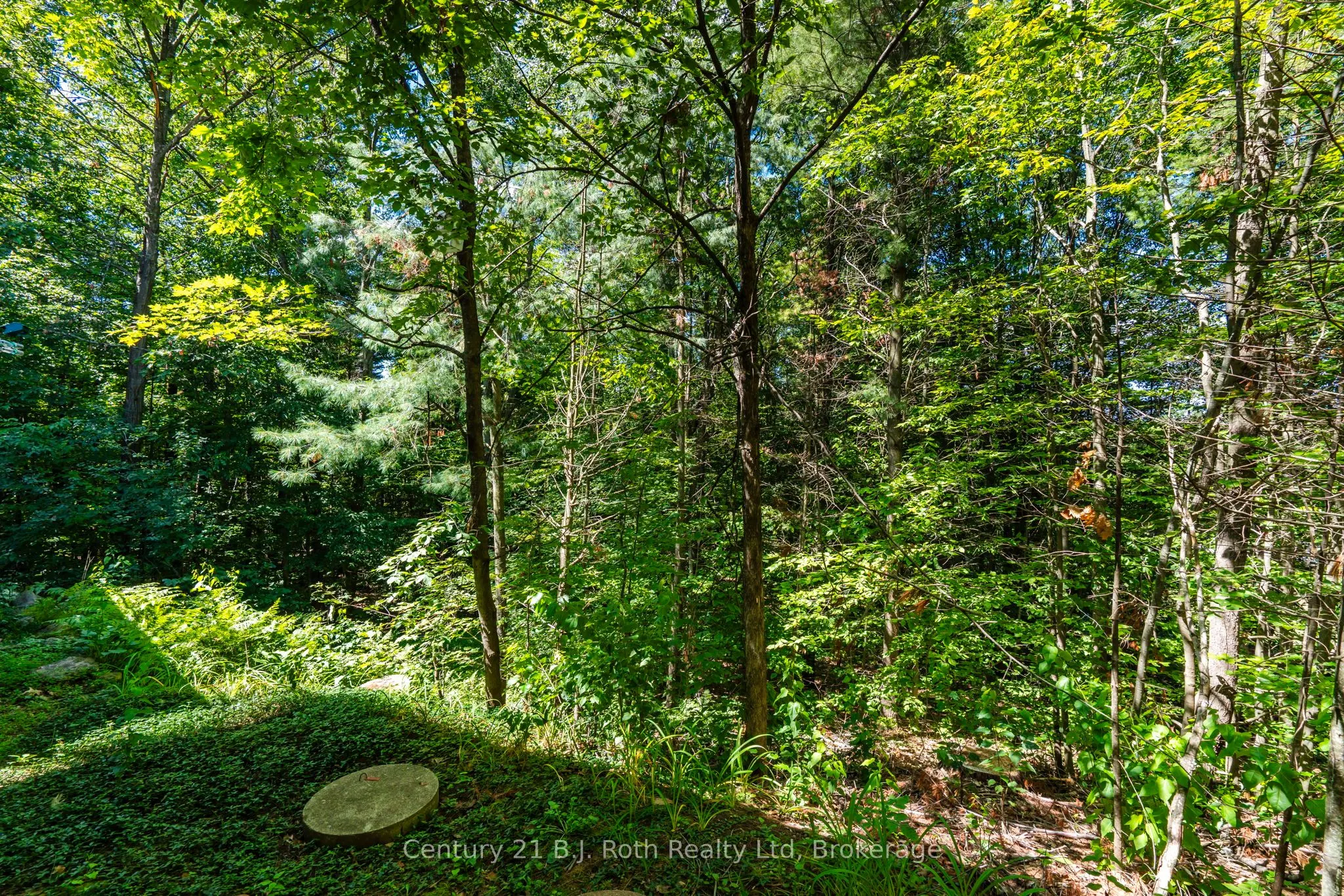 1749 Golf Link Road