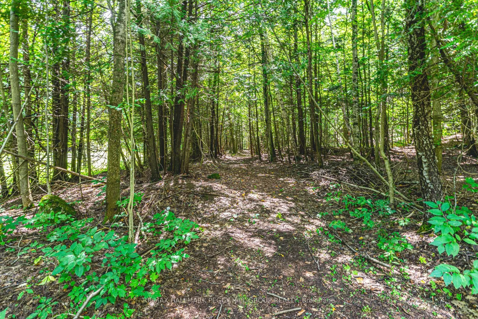 8275 County Rd 9