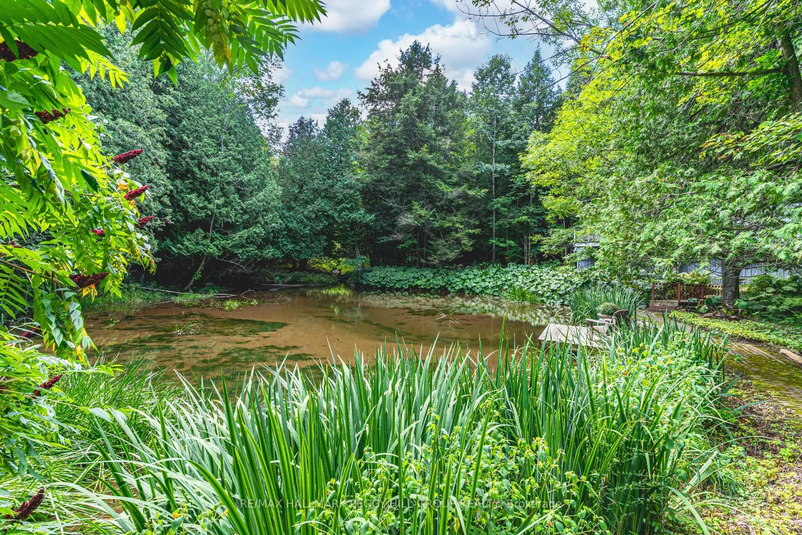 8275 County Rd 9