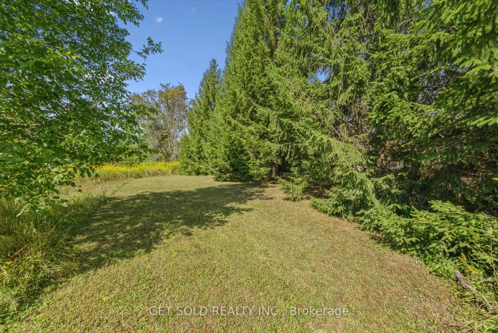 77 Simcoe Road