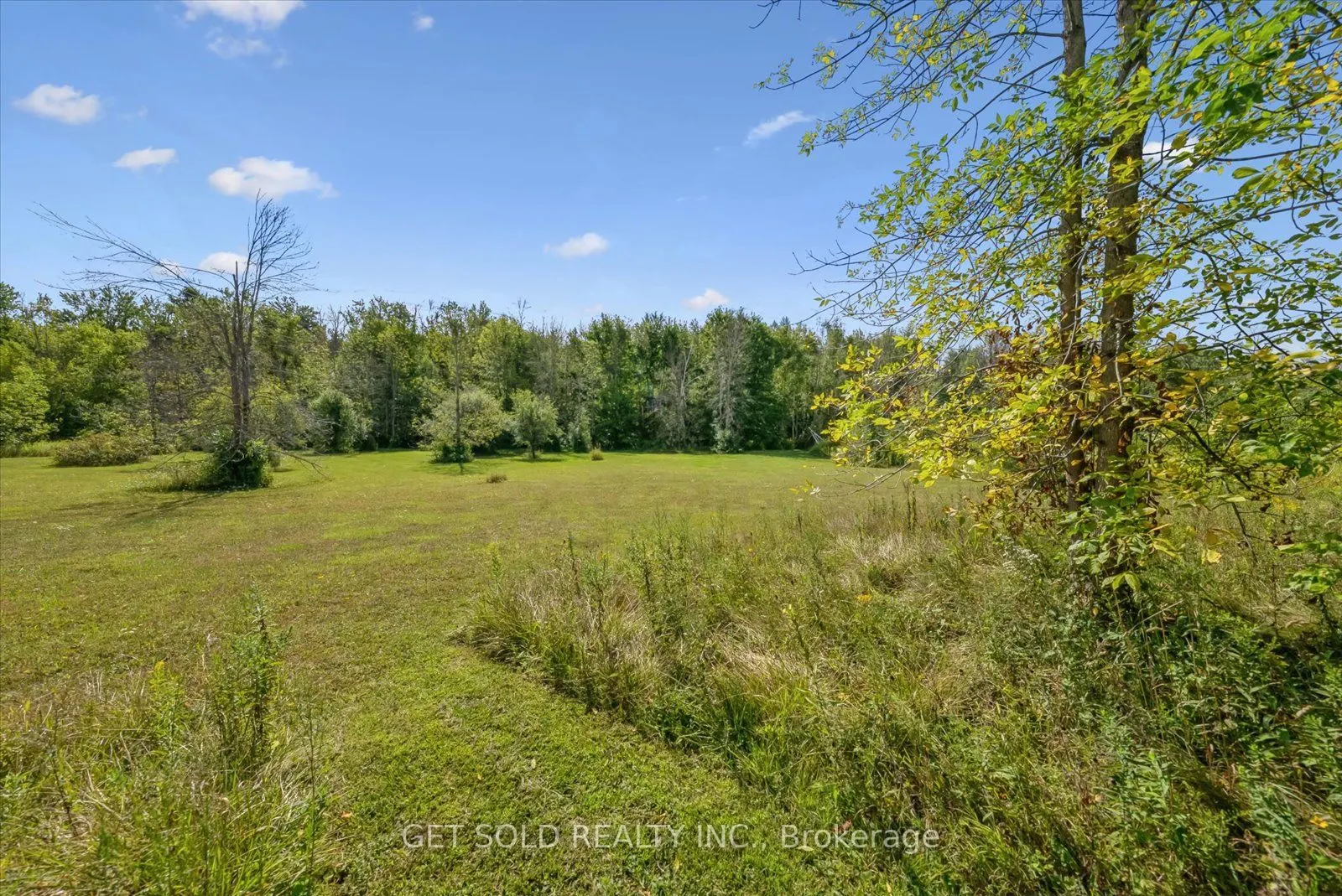 77 Simcoe Road