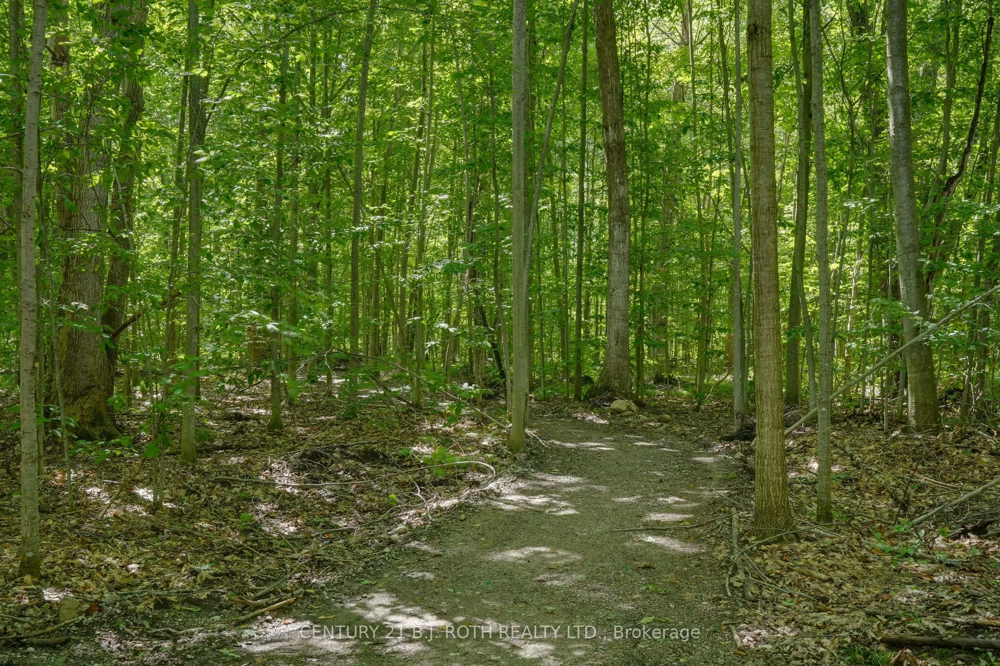 1250 County Road 6 Road S