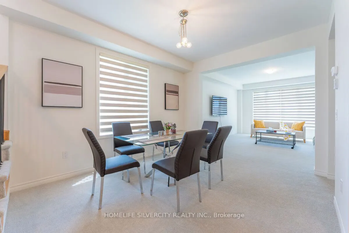 26 Sassafrass Road