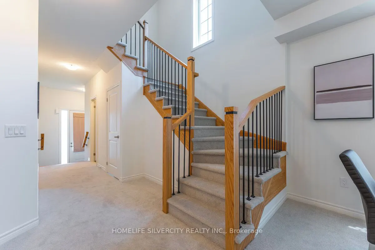 26 Sassafrass Road