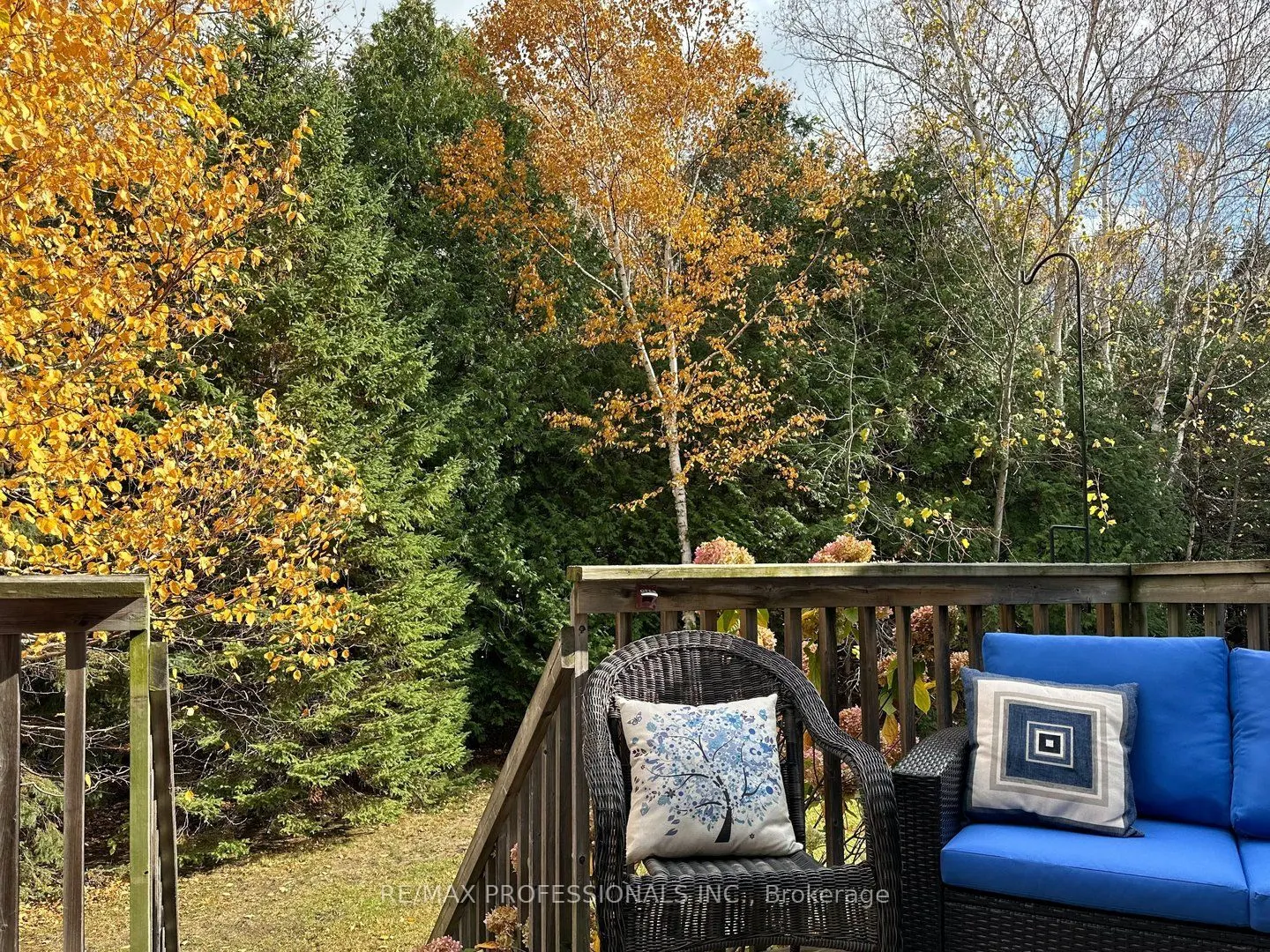 57 Green Briar Drive, #11
