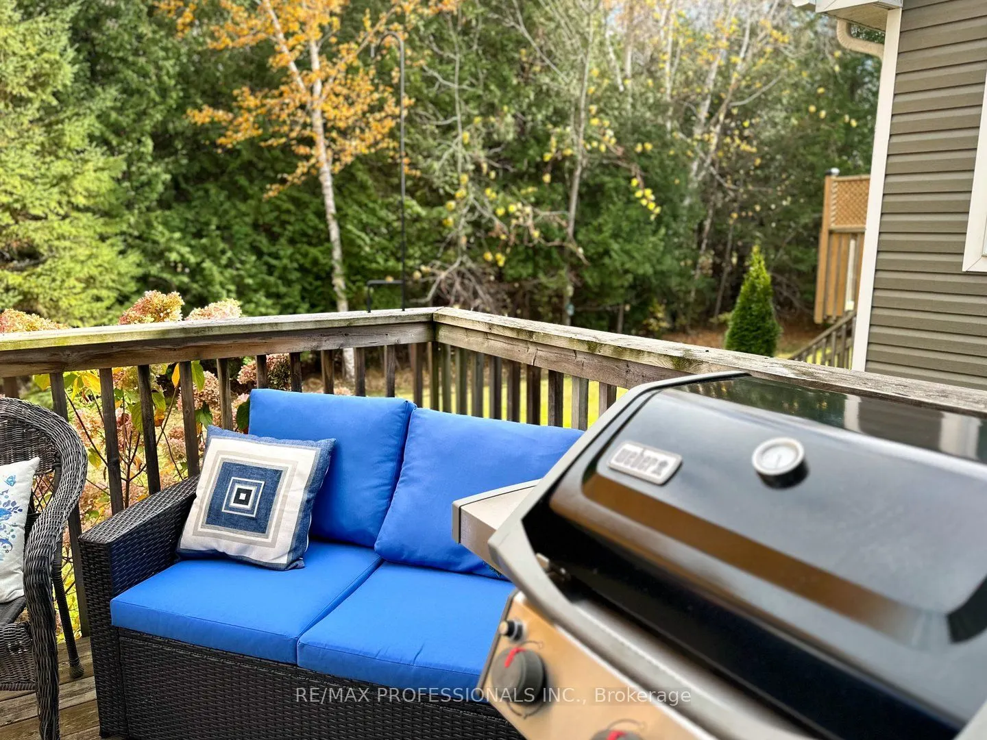 57 Green Briar Drive, #11