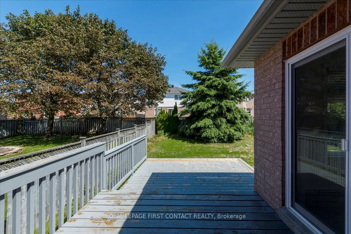 37 Marsellus Drive