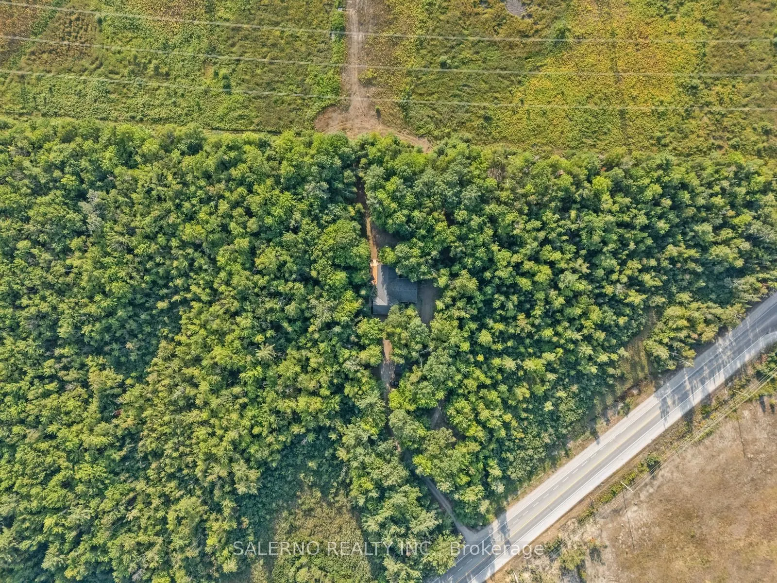 3992 Penetanguishene Road