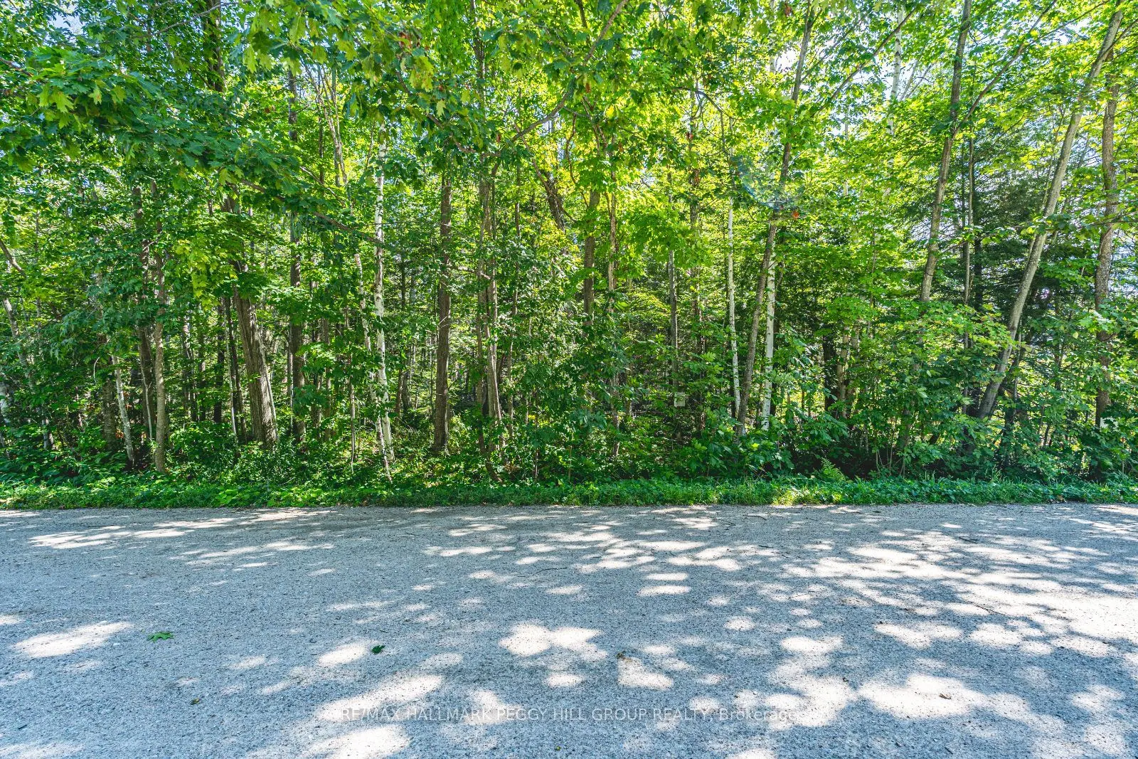 38 Lasalle Trail
