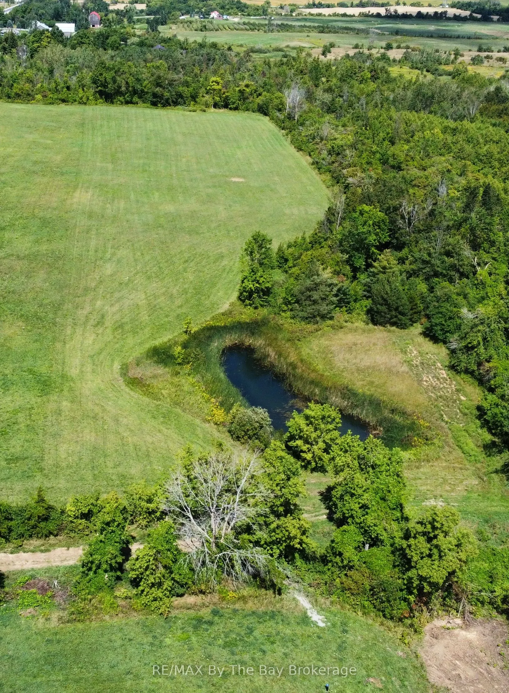 12 Sydenham Trail
