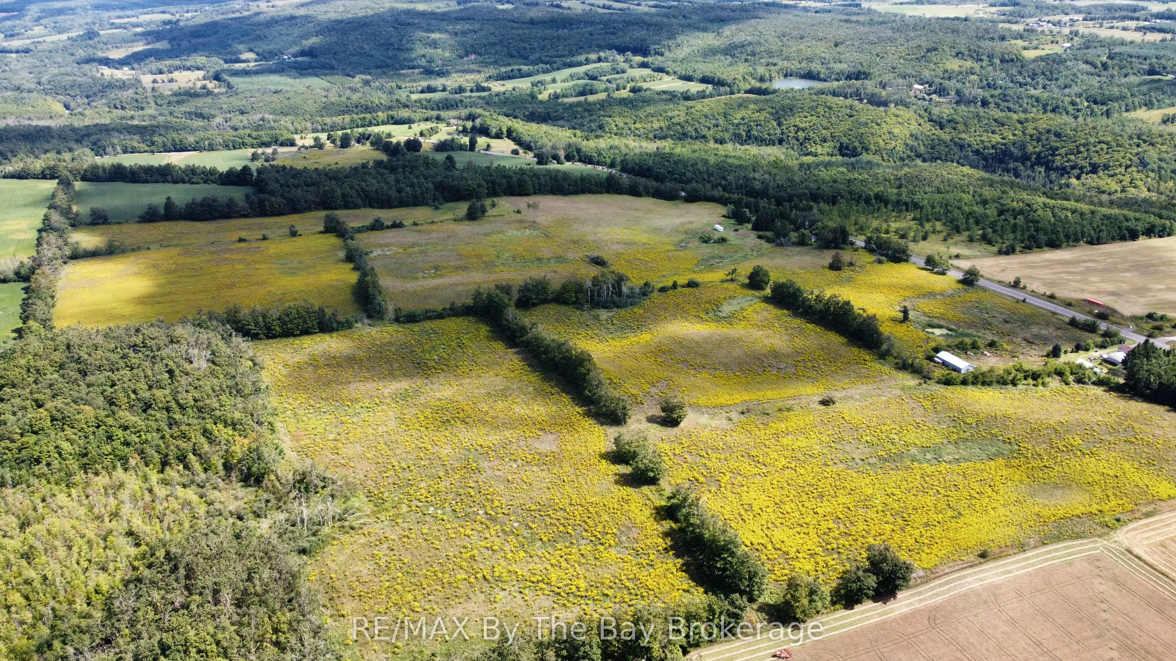 9878 County Road 9 Acres