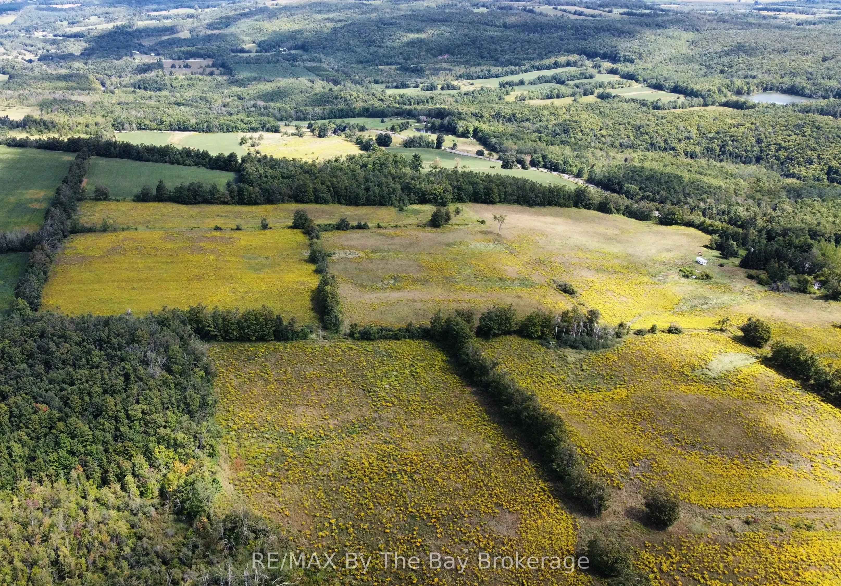 9878 County Road 9 Acres