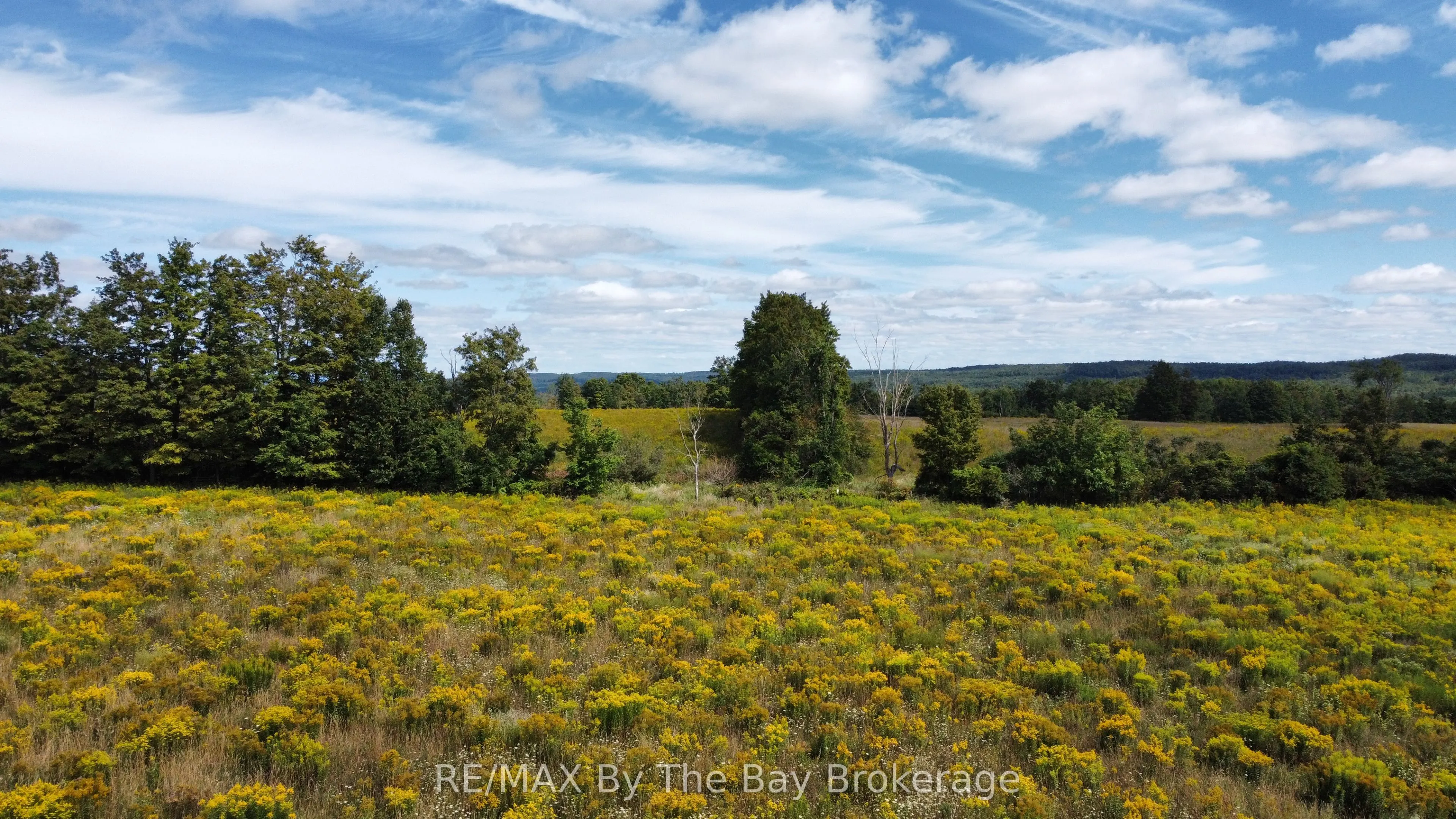 9878 County Road 9 Acres