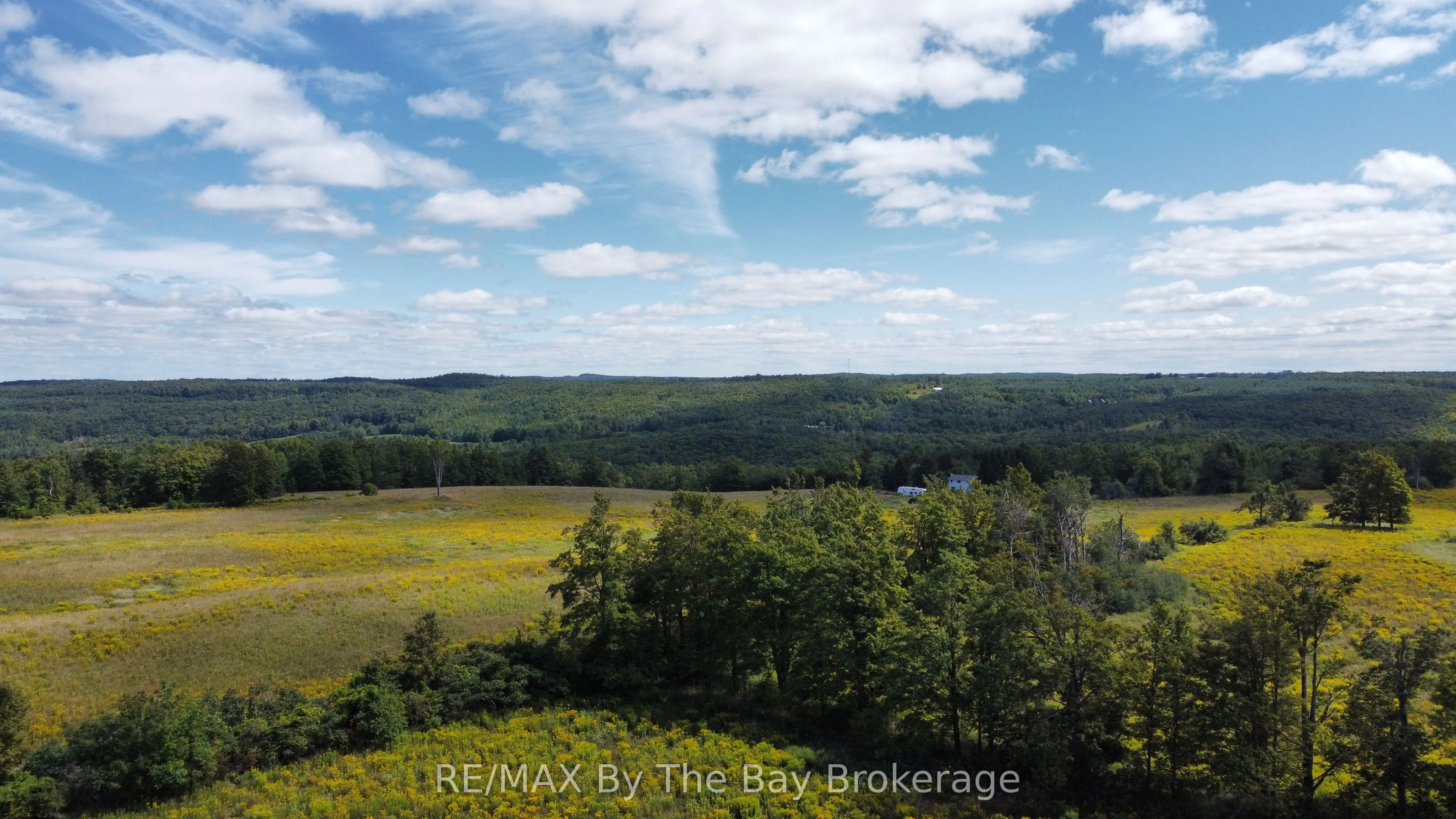 9878 County Road 9 Acres