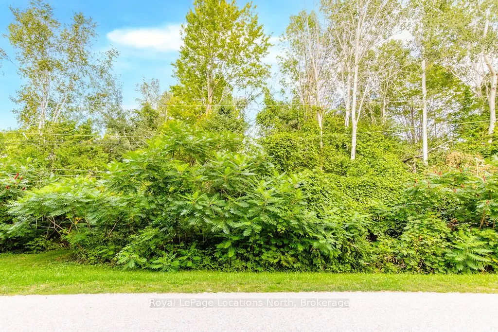 81 39th Street N