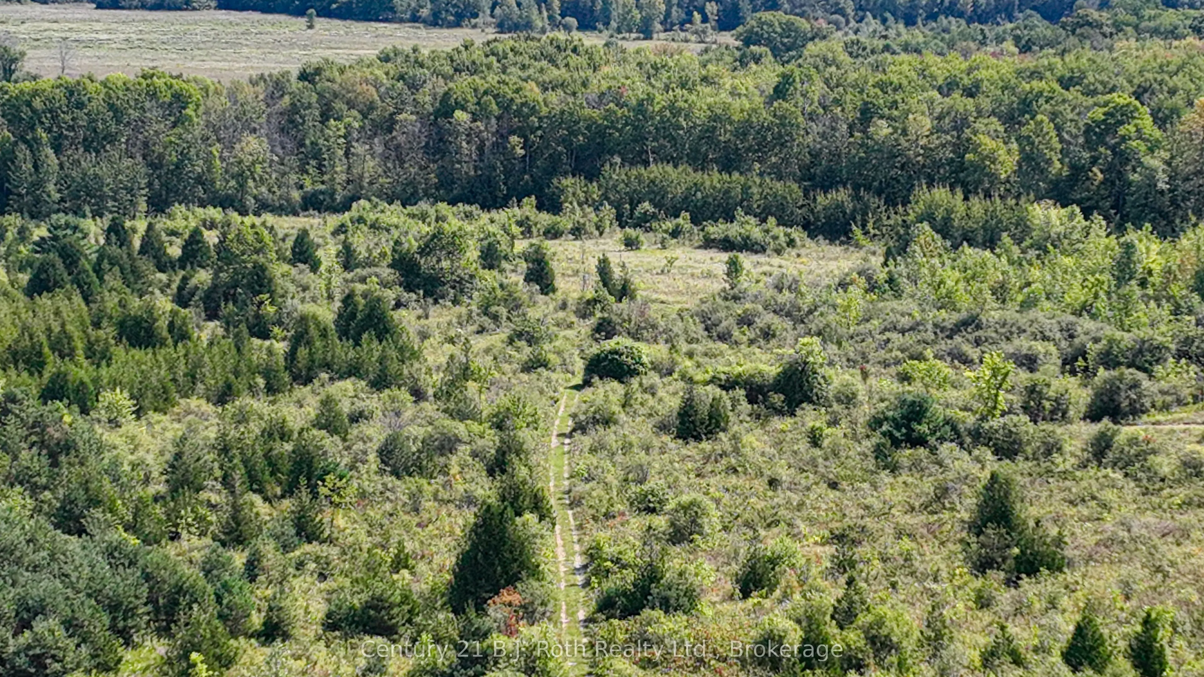 5135 SIDEROAD 25