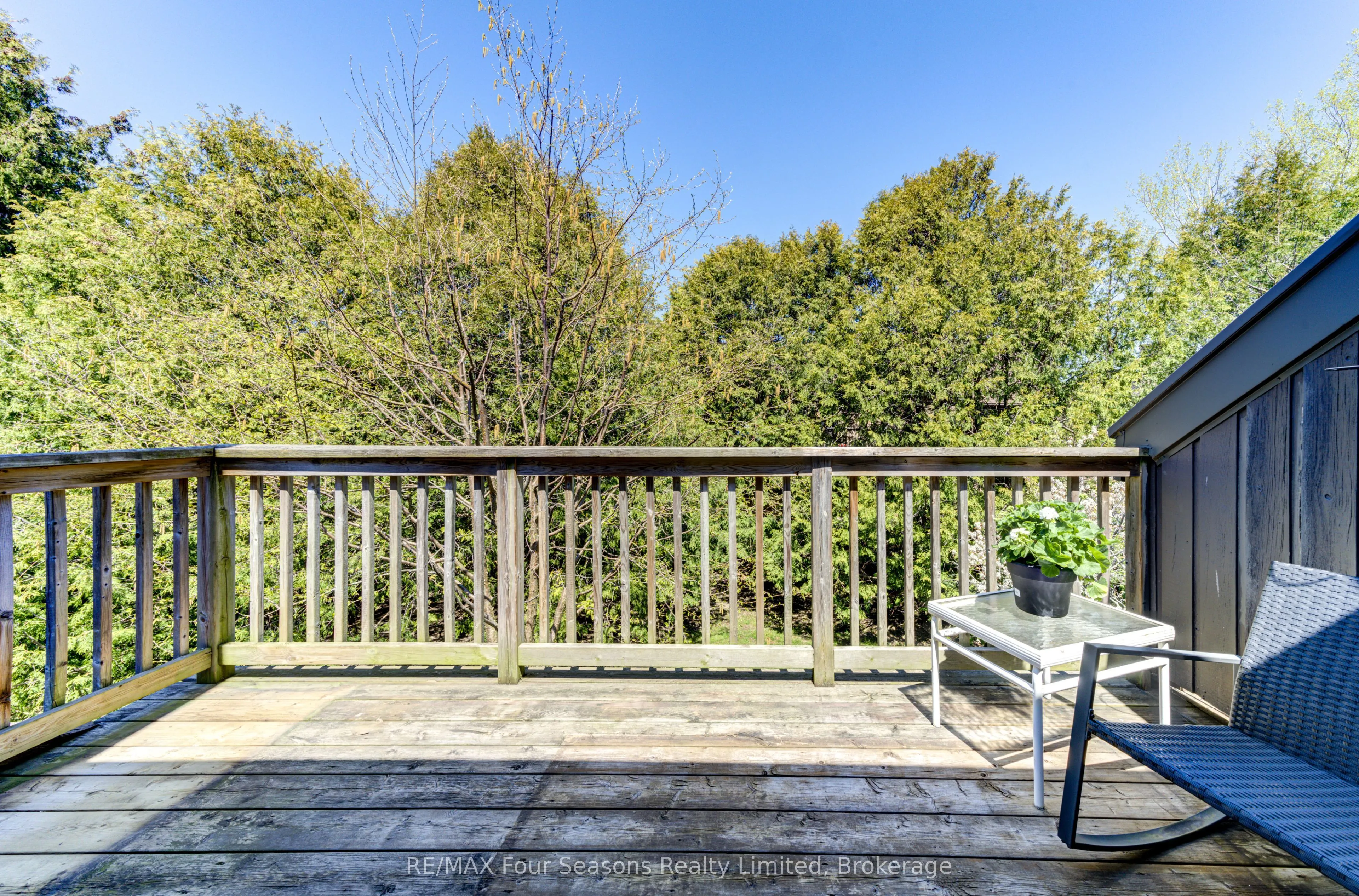 17 Harbour Street, #226