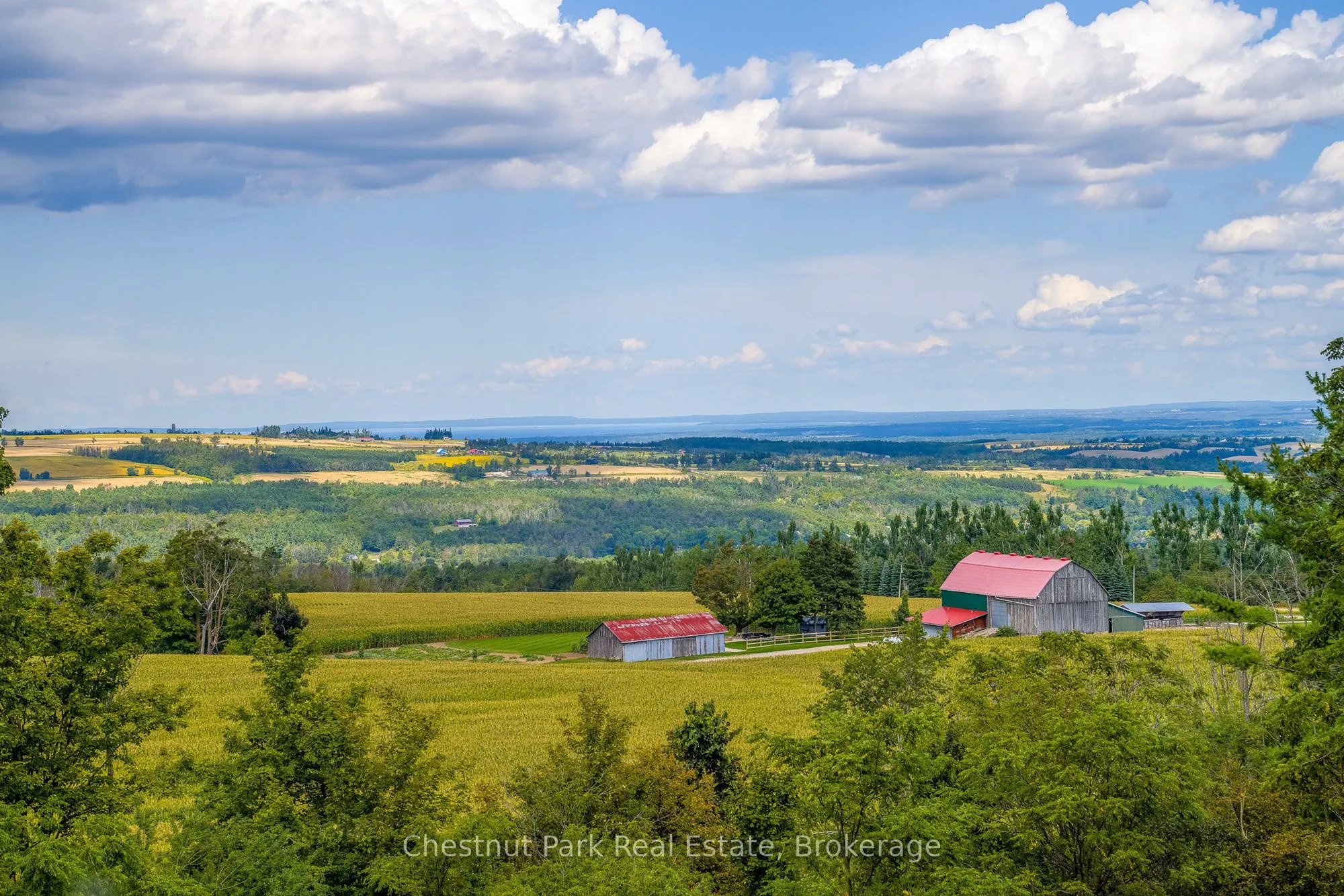 3390 Concession 5 S Nottawasaga