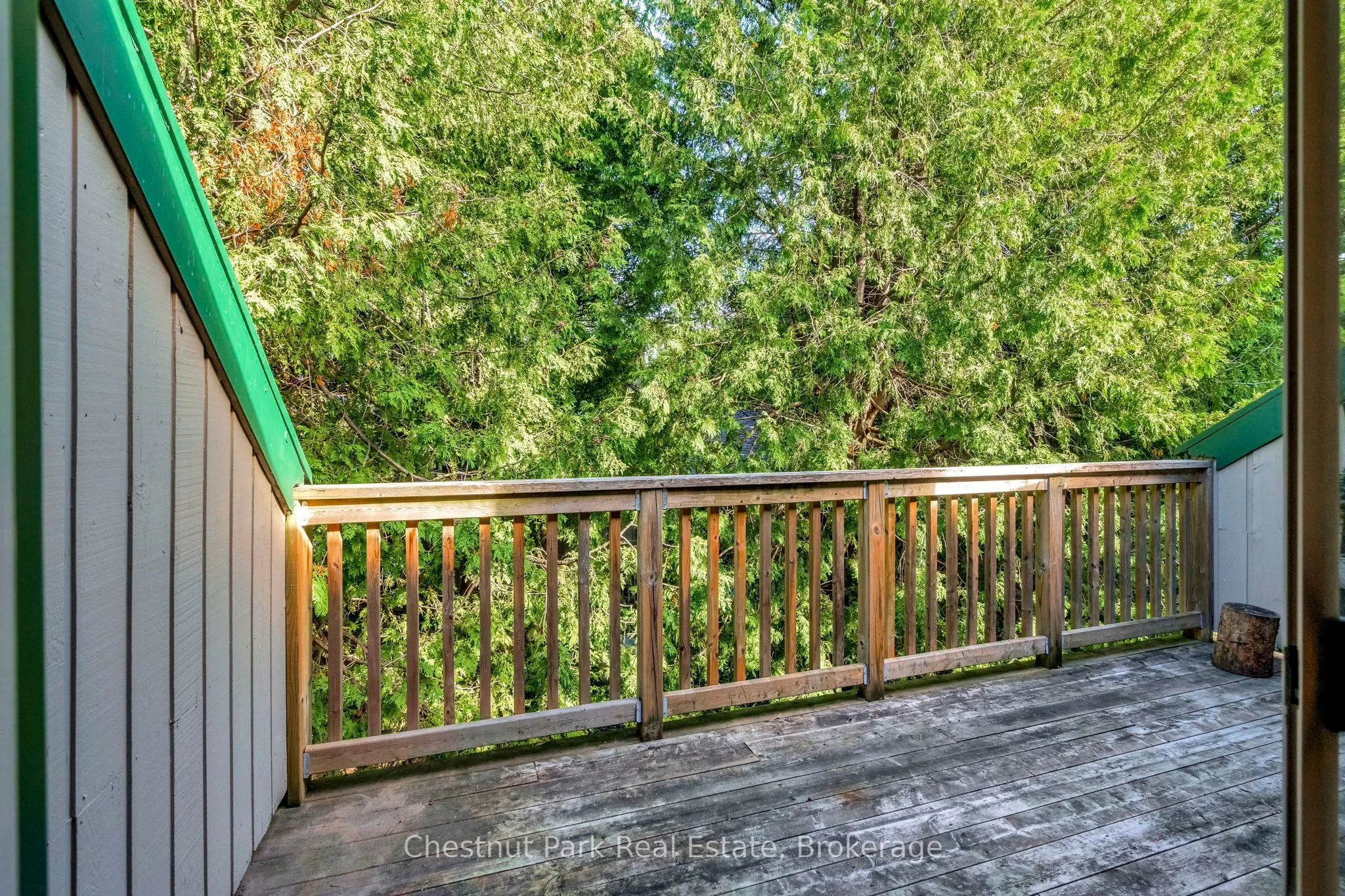 11 Harbour Street, #347