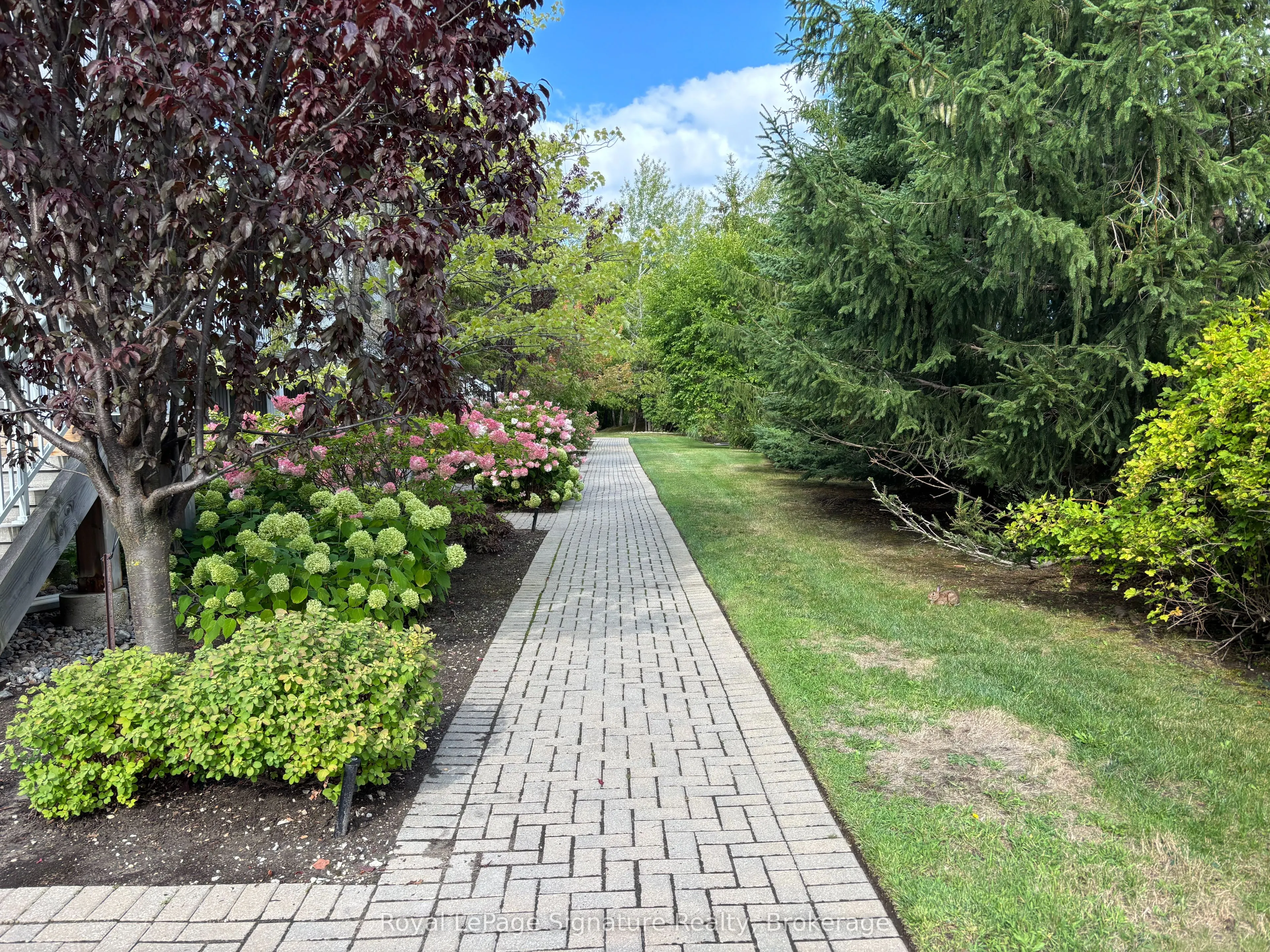 11 DAWSON Drive, #717