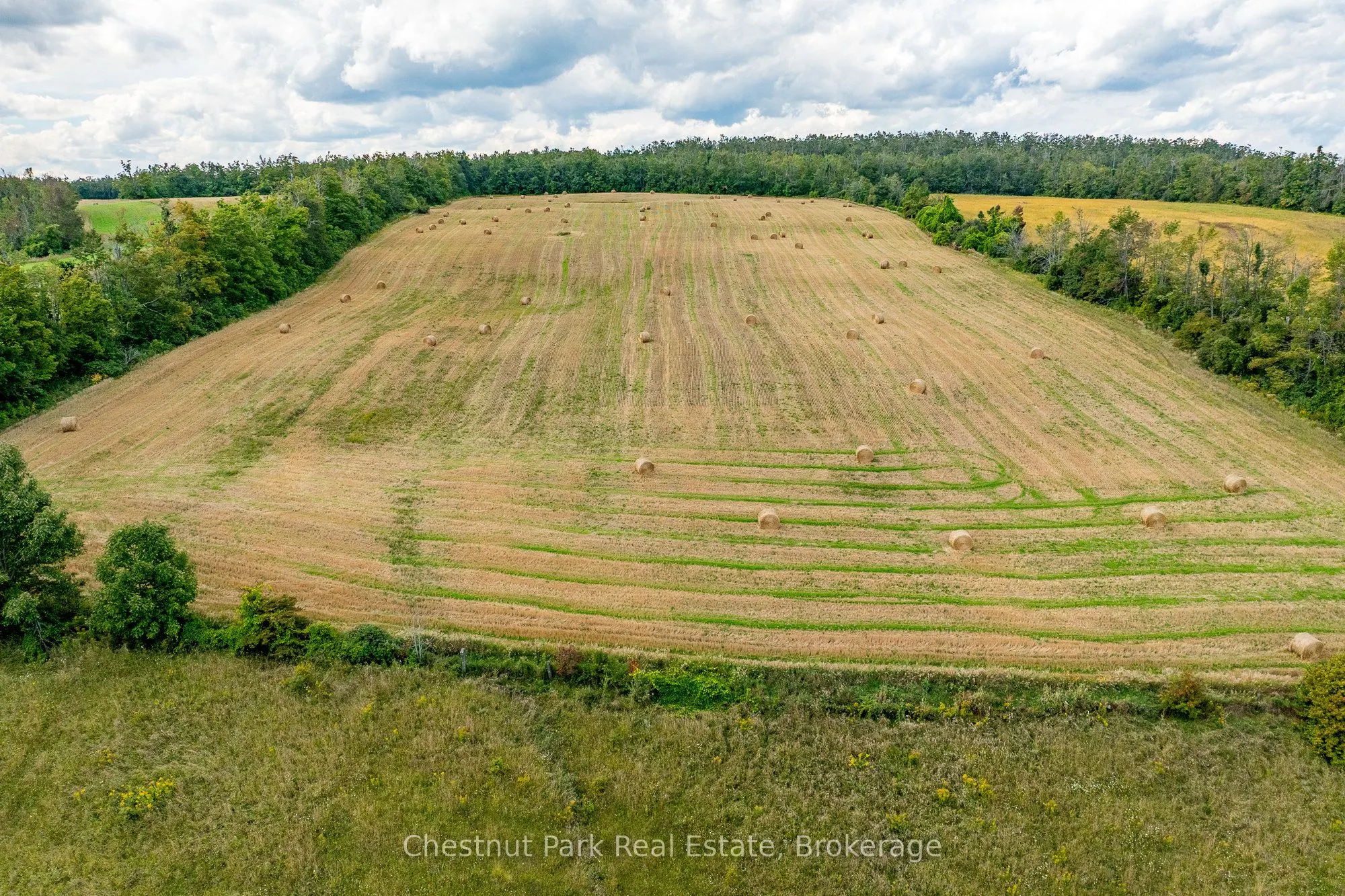 2826 Concession 8 S Nottawasaga