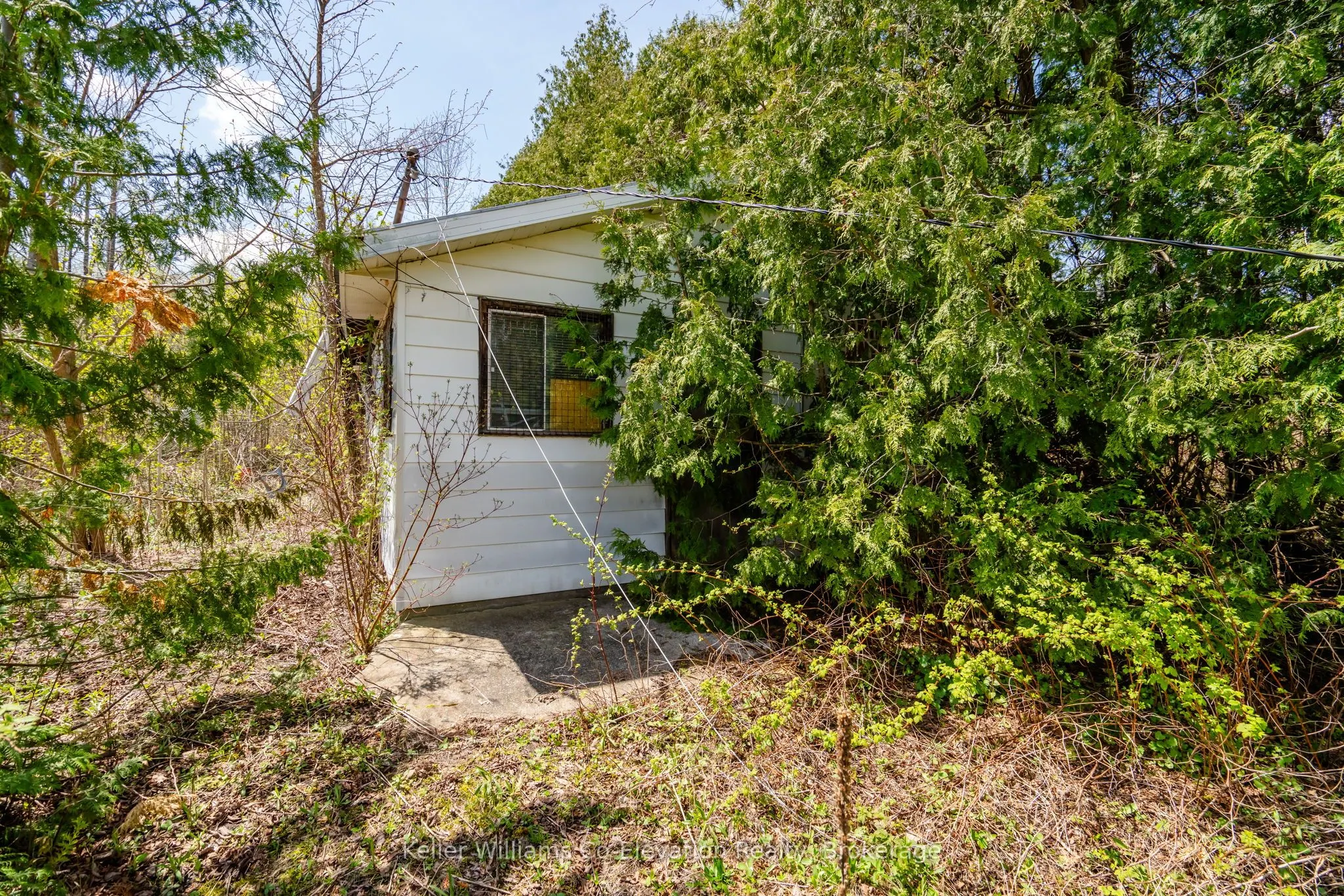 12824 COUNTY ROAD 16 Road