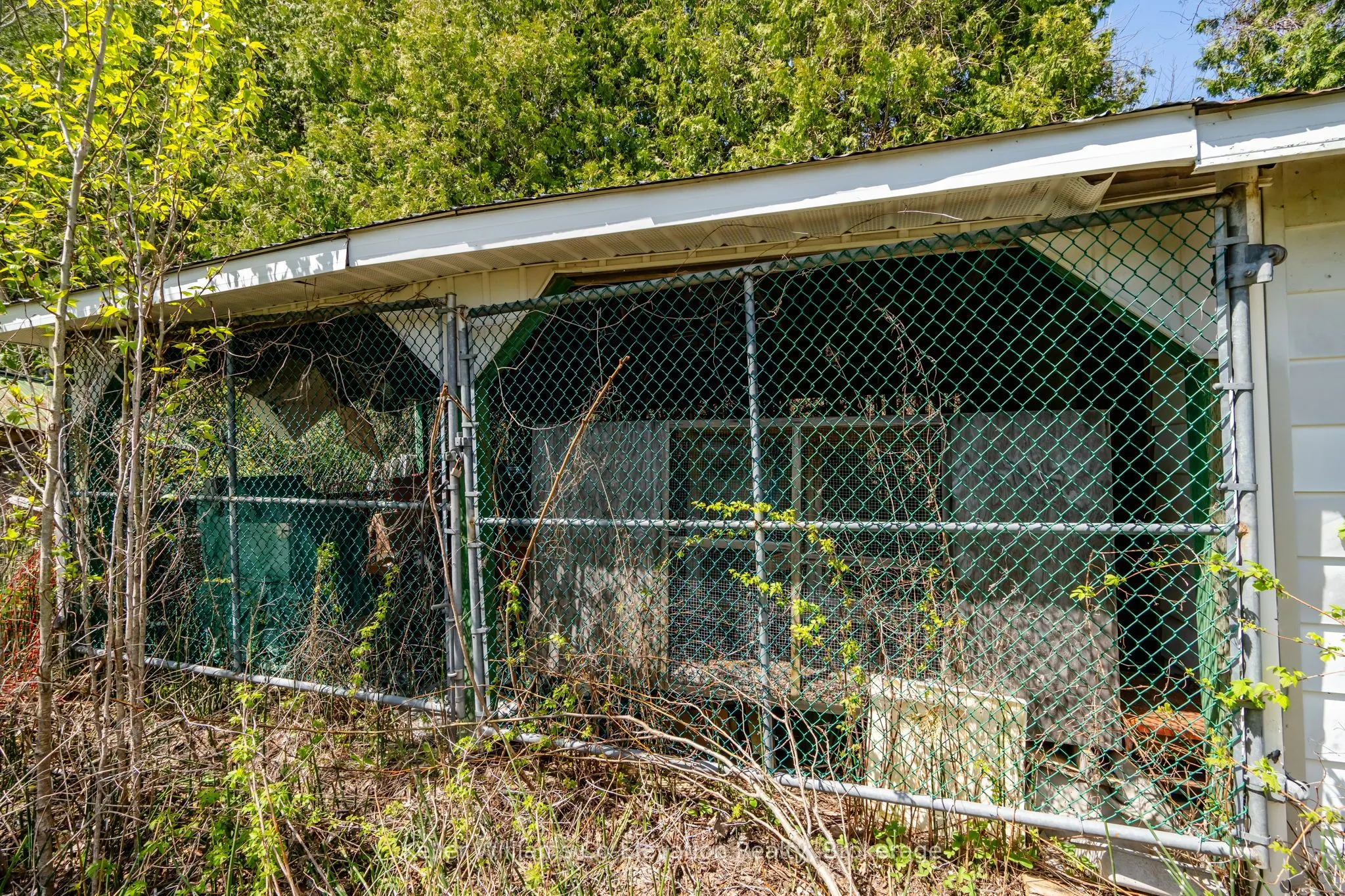 12824 COUNTY ROAD 16