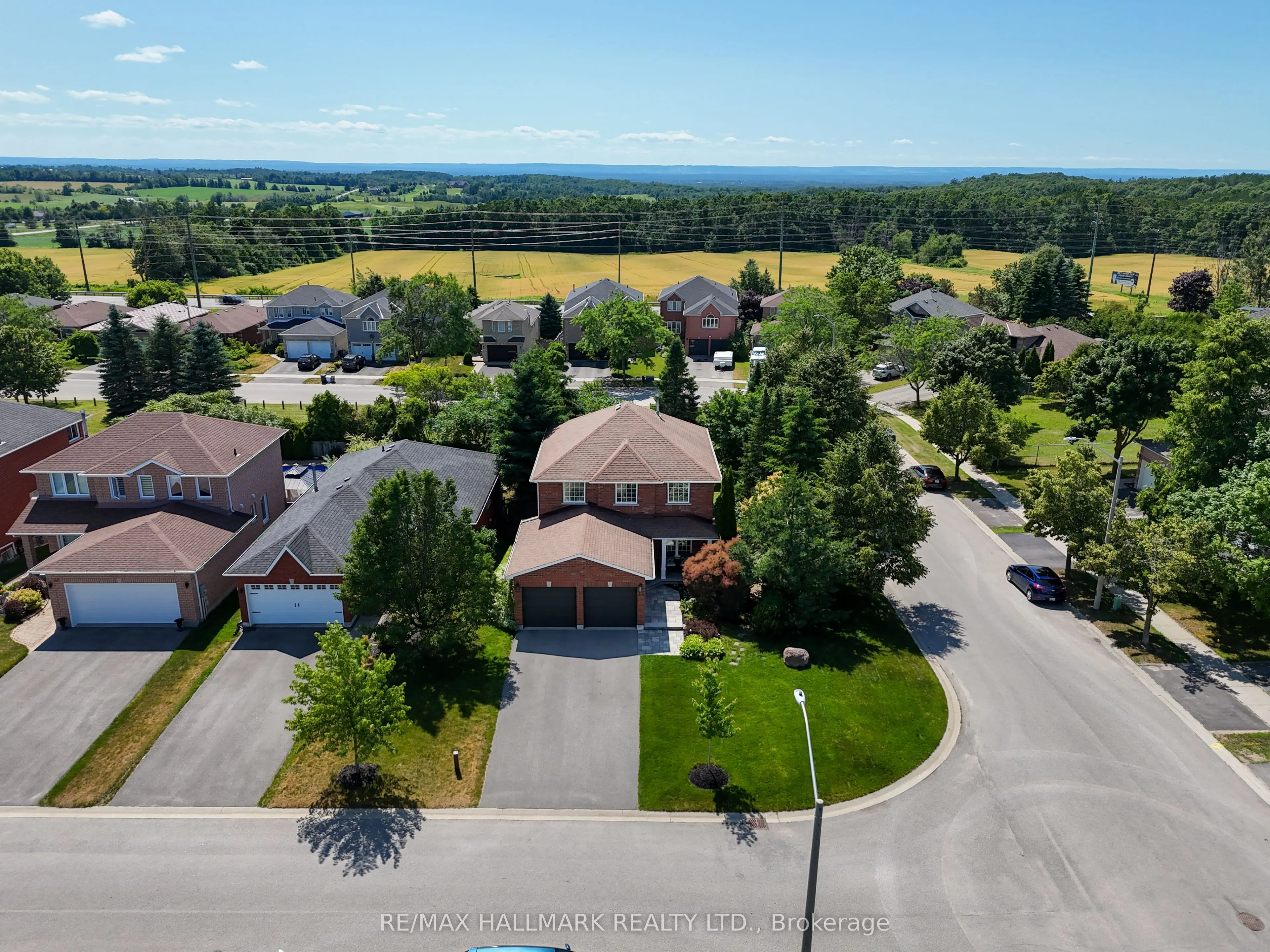 50 Black Willow Drive