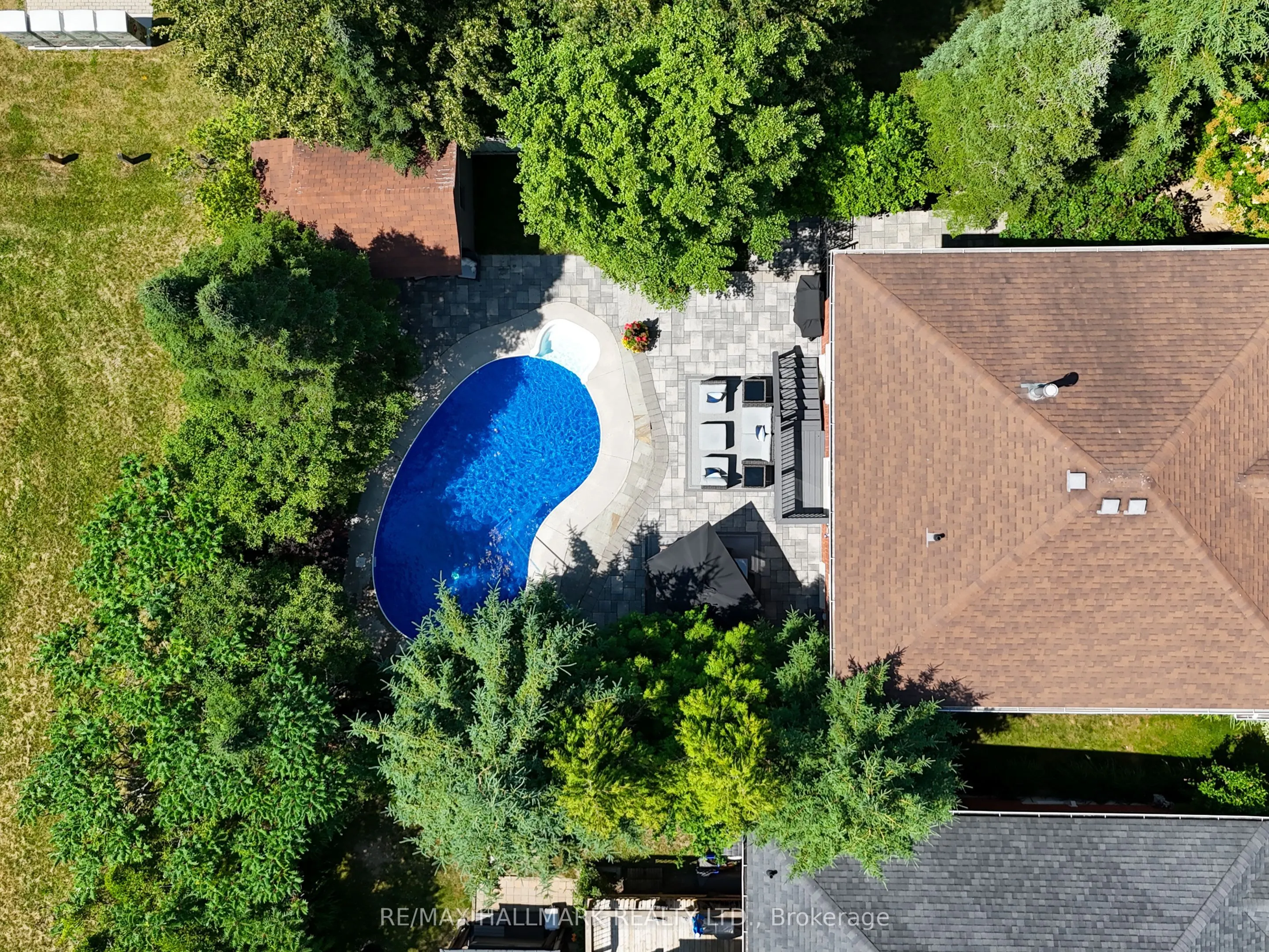 50 Black Willow Drive