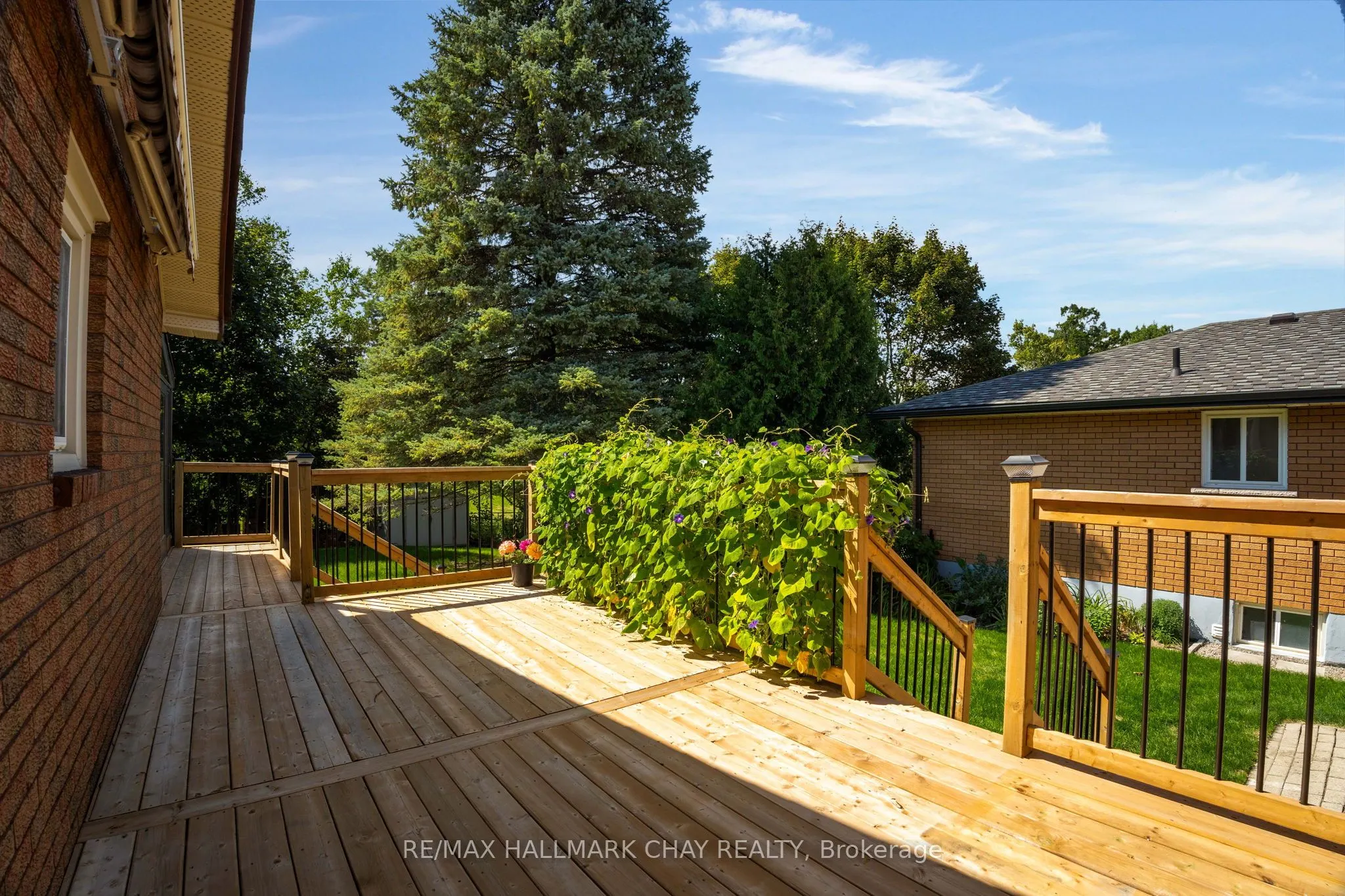 19 Algonquin Trail