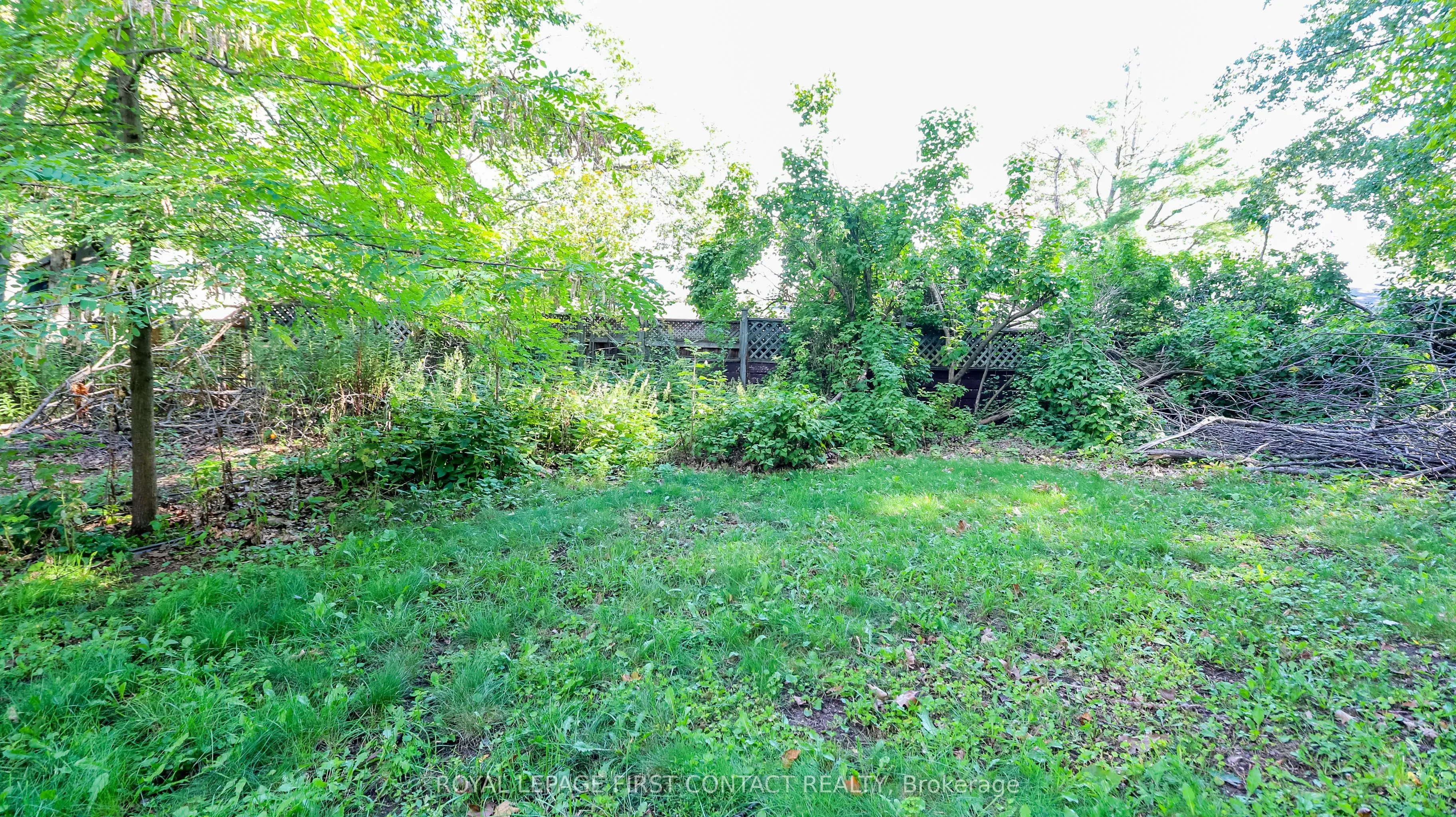 311 Anne Street N