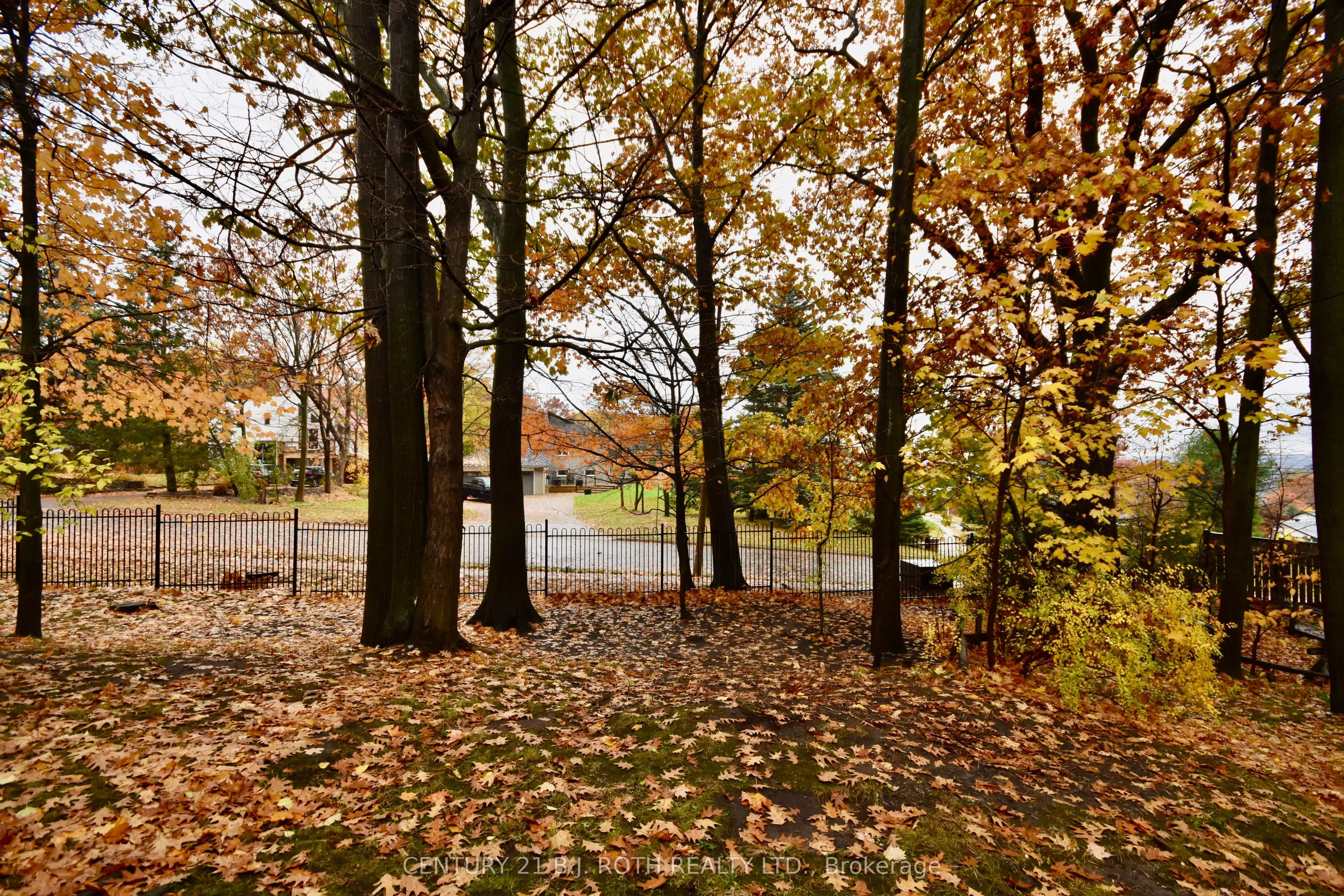 11 Pheasant Trail, #6