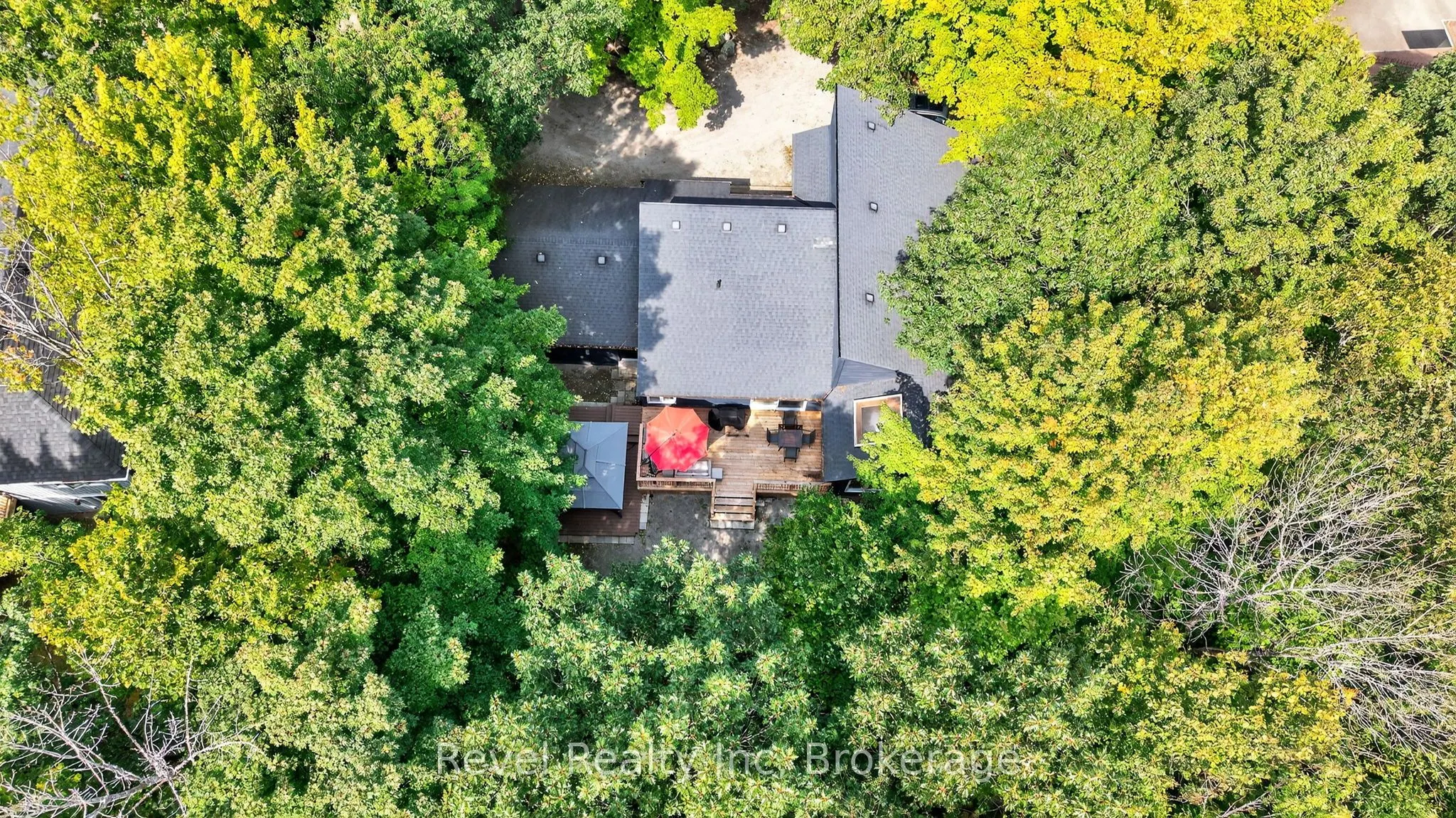 78 FOREST Circle