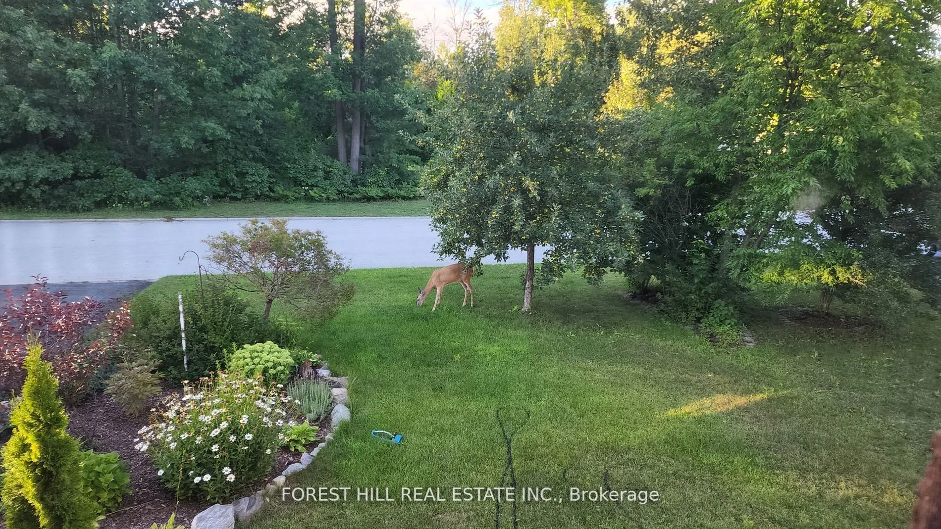 7 Tamarack Way