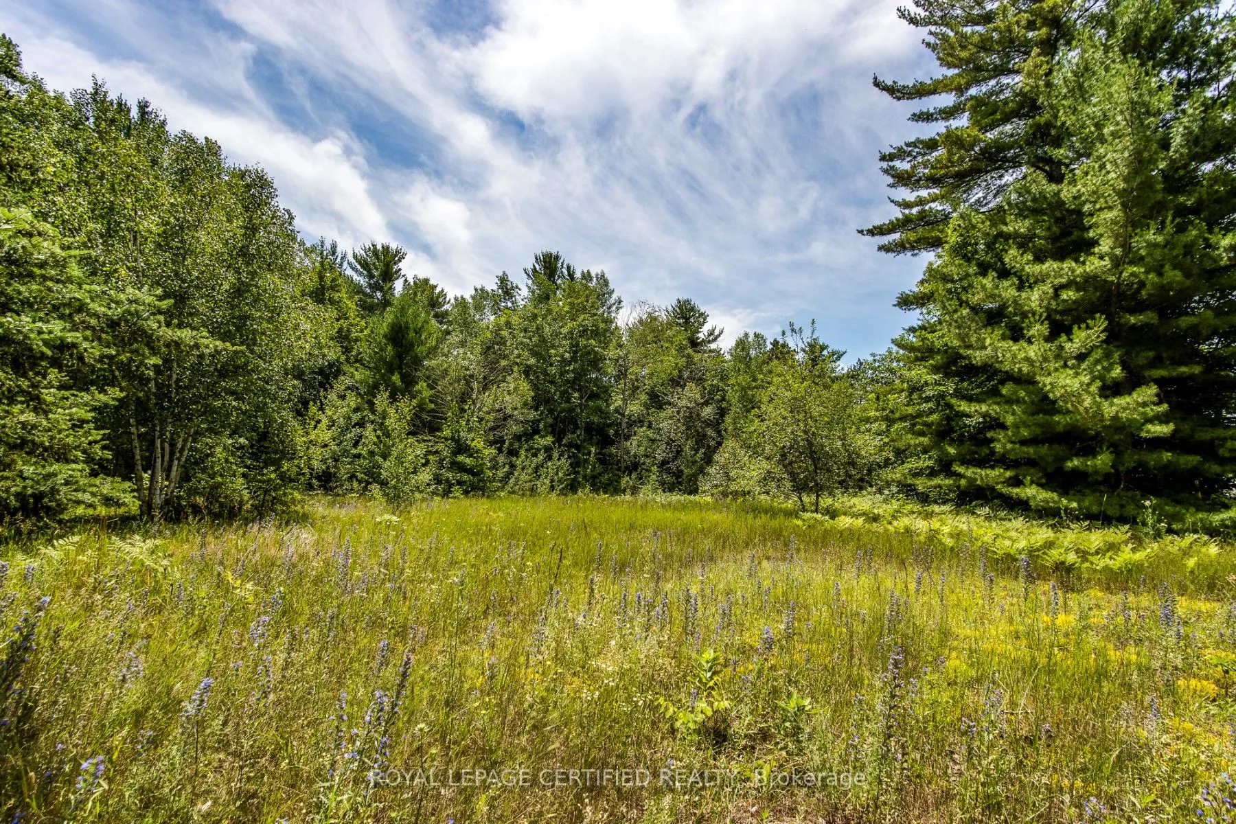LOT 167 DELBROOKE Court