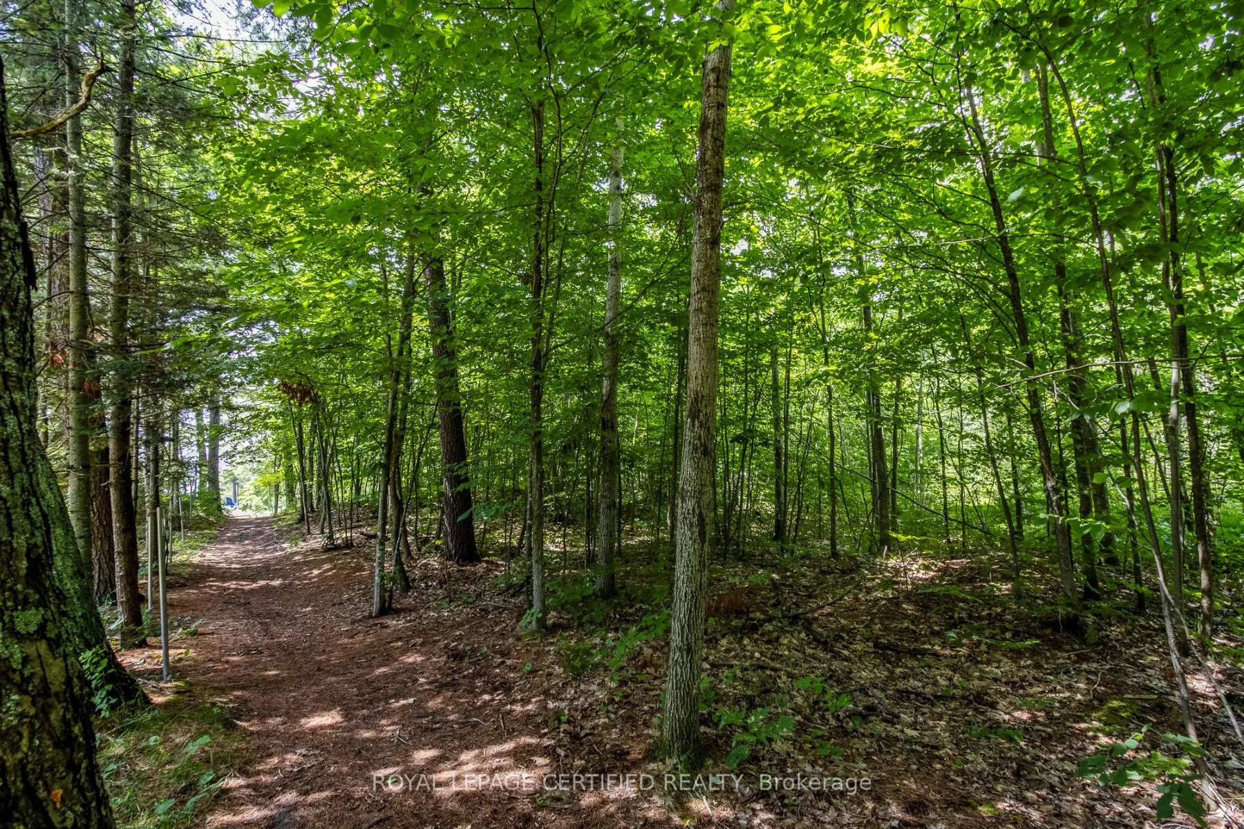 LOT 167 DELBROOKE Court
