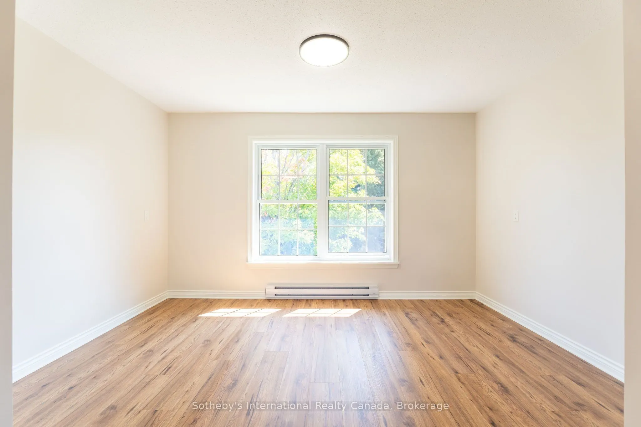 31 Elizabeth Street E