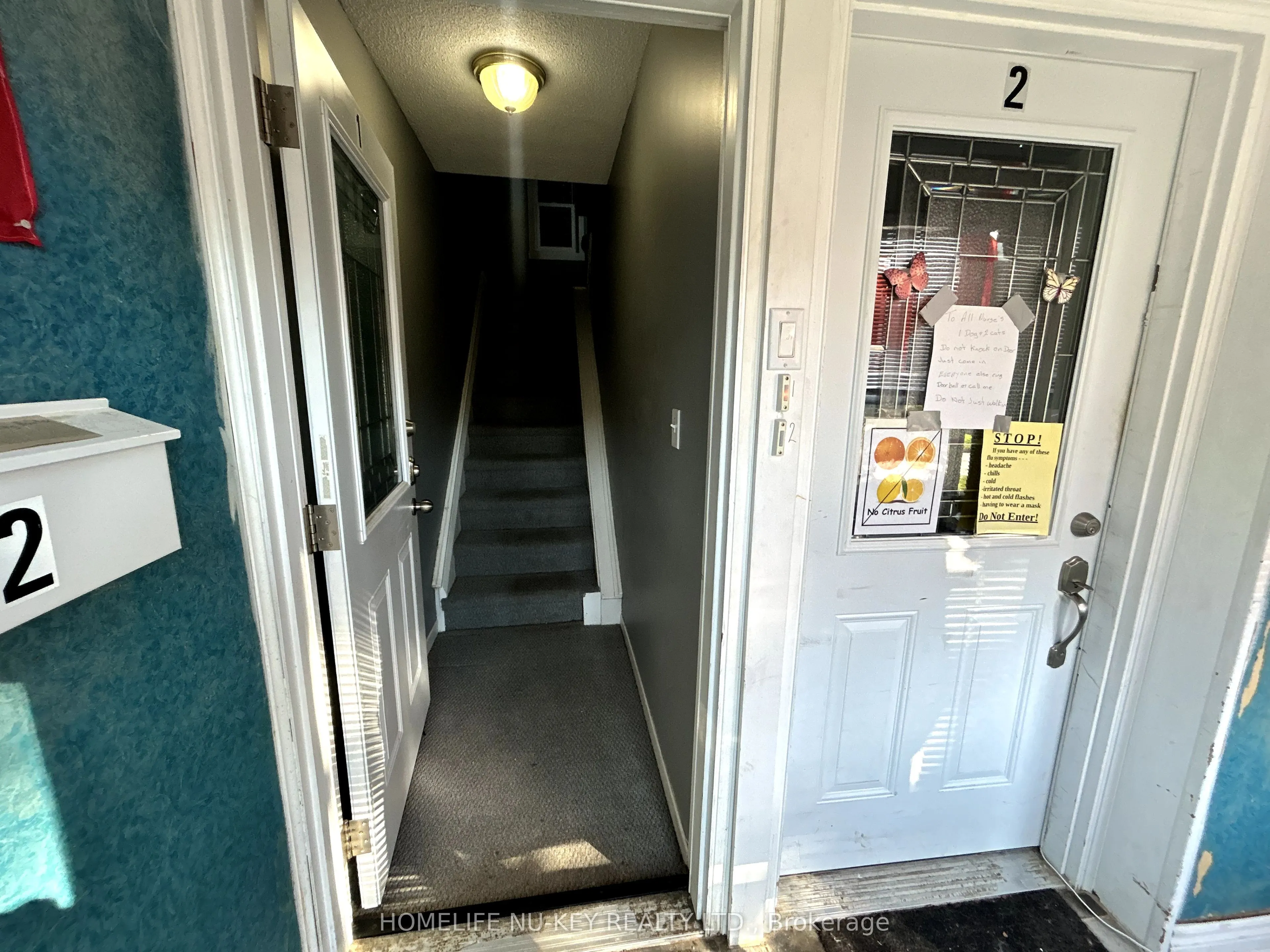 246 Mary Street