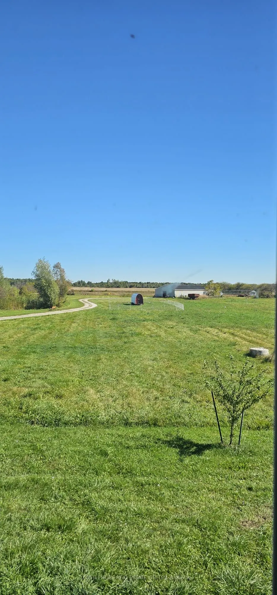 11433 10 county Road