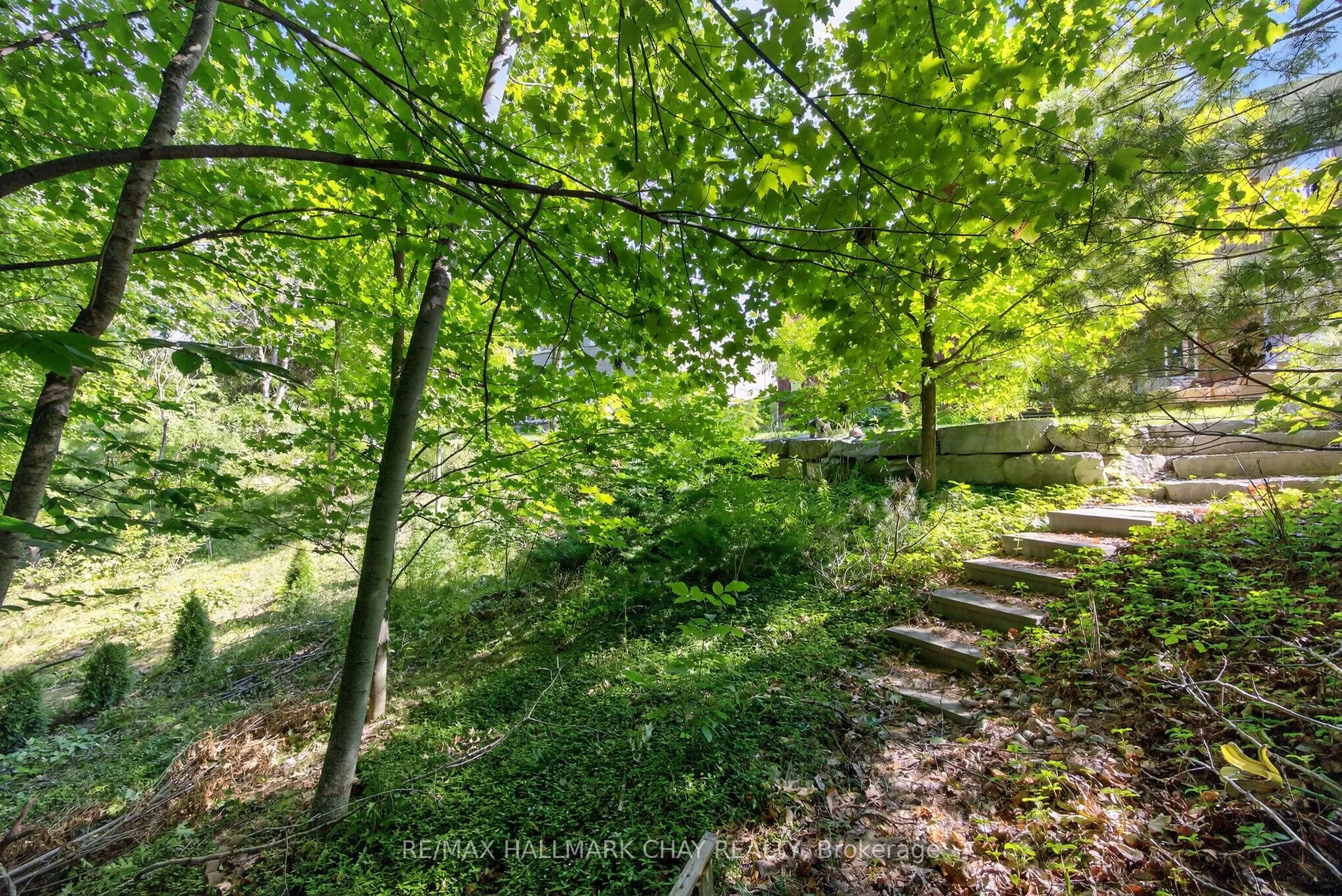 32 Wildwood Trail