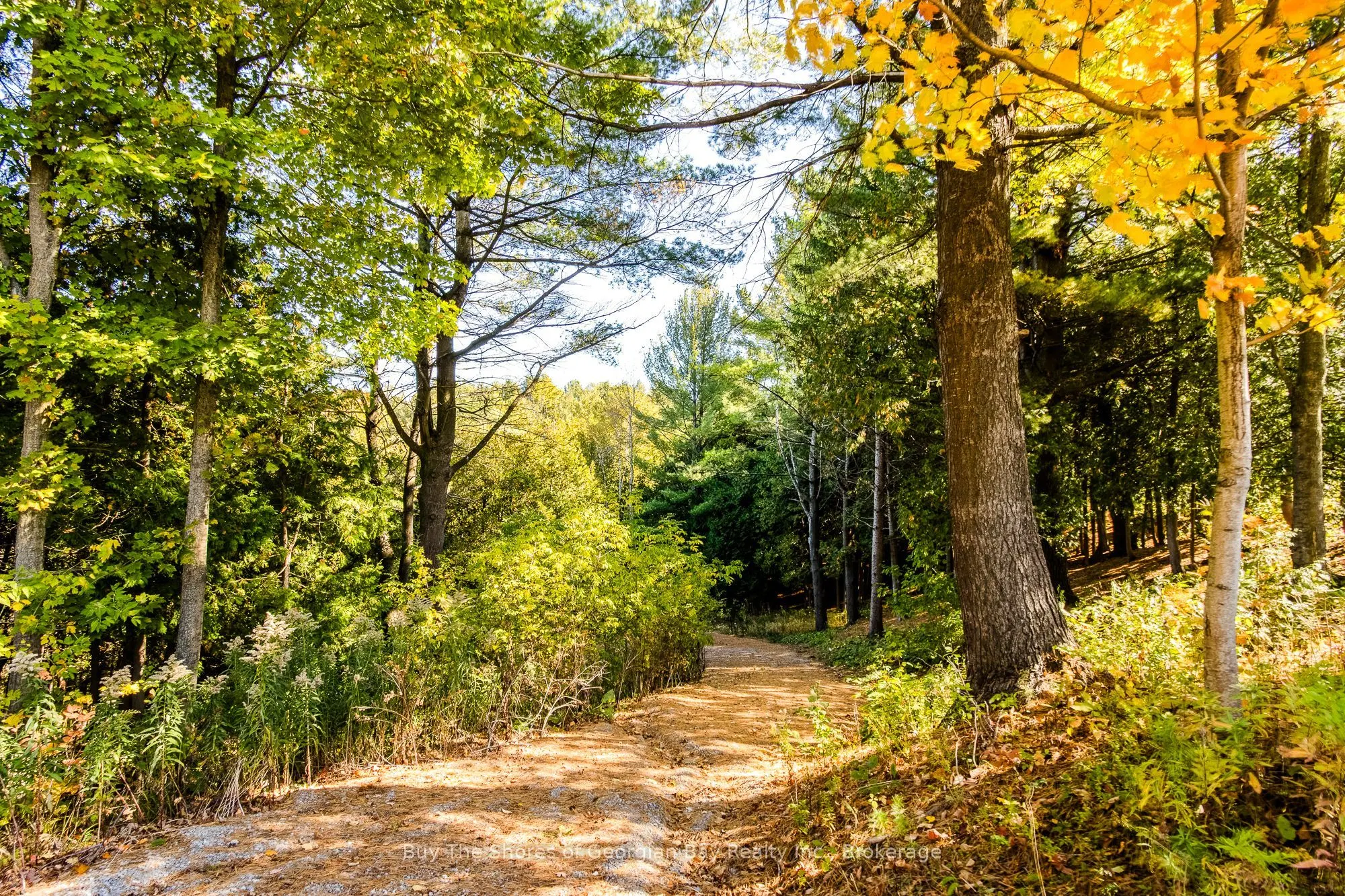 399 Dawson's Side Road